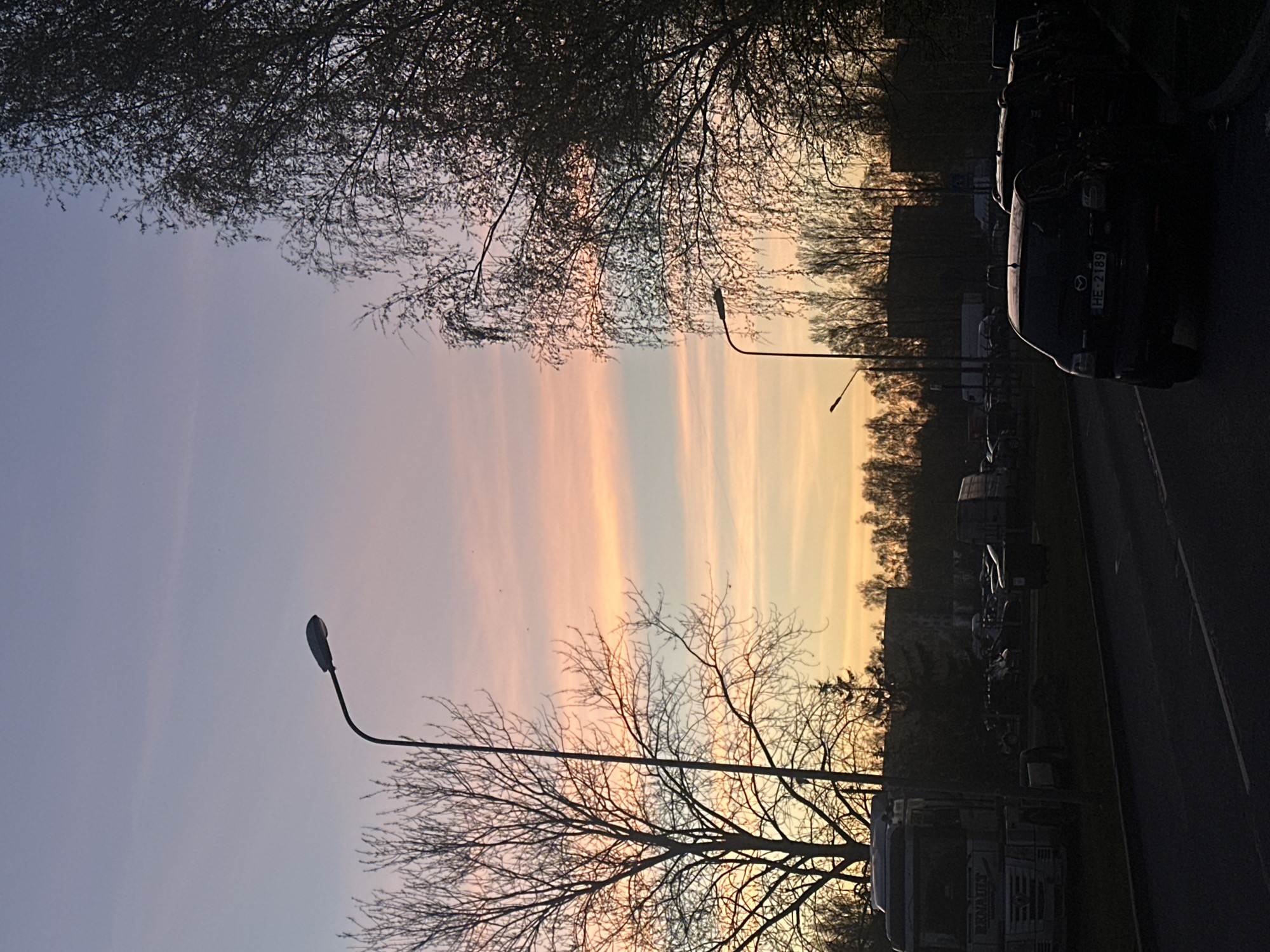 The image presents an outdoor scene at either sunrise or sunset, dominated by a pastel-colored sky. The sky transitions horizontally from a light blue-purple on the left to soft pinks, oranges, and yellows on the right, streaked with subtle, elongated cloud formations.
Bare deciduous trees, with their intricate branches, are silhouetted prominently against the vibrant sky, framing the top and bottom sections of the image. Two streetlights with curved poles are also visible in silhouette: a larger one in the lower-left foreground and a smaller one further down the road towards the center-right.
The setting appears to be a roadside or parking area. On the right, a dark passenger car, possibly a Mazda, is parked or moving slowly. Its rear is dimly lit, revealing the license plate "HE-2189". Further into the scene, other vehicles are visible in silhouette, including what appears to be a truck with "RENAULT" faintly legible on its front grill, and other cars or vans. A dark line of distant trees forms the horizon, indicating a wooded area beyond the immediate foreground.
The scene conveys a sense of calm and natural beauty during a transitional time of day. The bare trees suggest either late autumn, winter, or early spring. The weather is clear with no apparent precipitation. The license plate "HE-2189" is consistent with an Estonian vehicle, which would be a foreign visitor in Riga, Latvia.