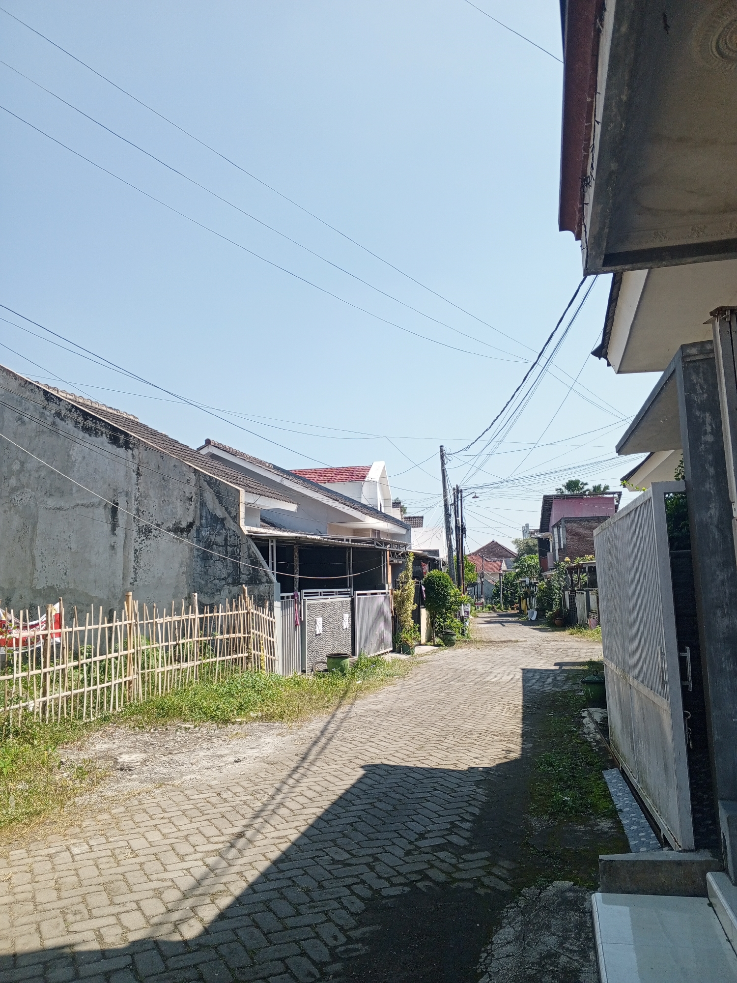 The image depicts a narrow, paved alleyway in a residential area of Jember, Indonesia, under a clear, bright sky. The alley is lined with houses and fences. On the left, a rough, grey concrete wall of a house is visible, topped with a tiled roof. A bamboo fence separates the house from the alley, with some greenery growing behind it. The alley itself is paved with interlocking rectangular bricks. On the right side of the alley, a portion of a modern house is visible, featuring a grey concrete facade and a metal gate. Overhead, a dense network of electrical wires crisscrosses the sky, supported by poles. The scene is bathed in sunlight, casting distinct shadows across the alley. There are no people or vehicles visible in the image.