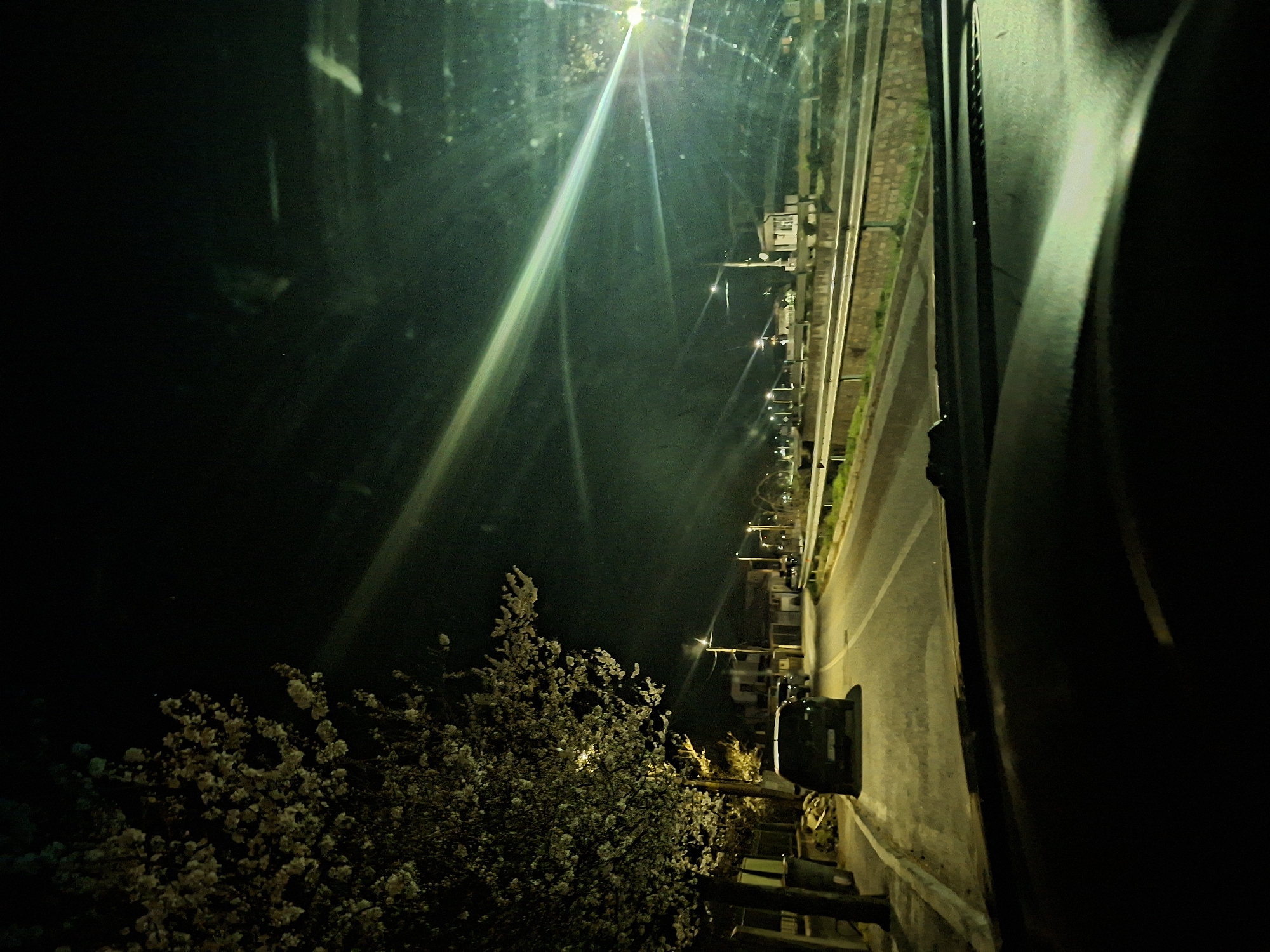 The image shows a nighttime view from a high vantage point, possibly a window, overlooking a street in an urban area. A blooming tree occupies the lower left portion of the frame, its white flowers providing contrast against the dark background. The street is illuminated by streetlights, which cast long, bright beams of light. Buildings line the street, and cars are parked along the side. The right side of the image features a portion of what appears to be a car interior, adding depth to the scene. The overall atmosphere is dark, with the streetlights and tree blossoms creating points of visual interest.