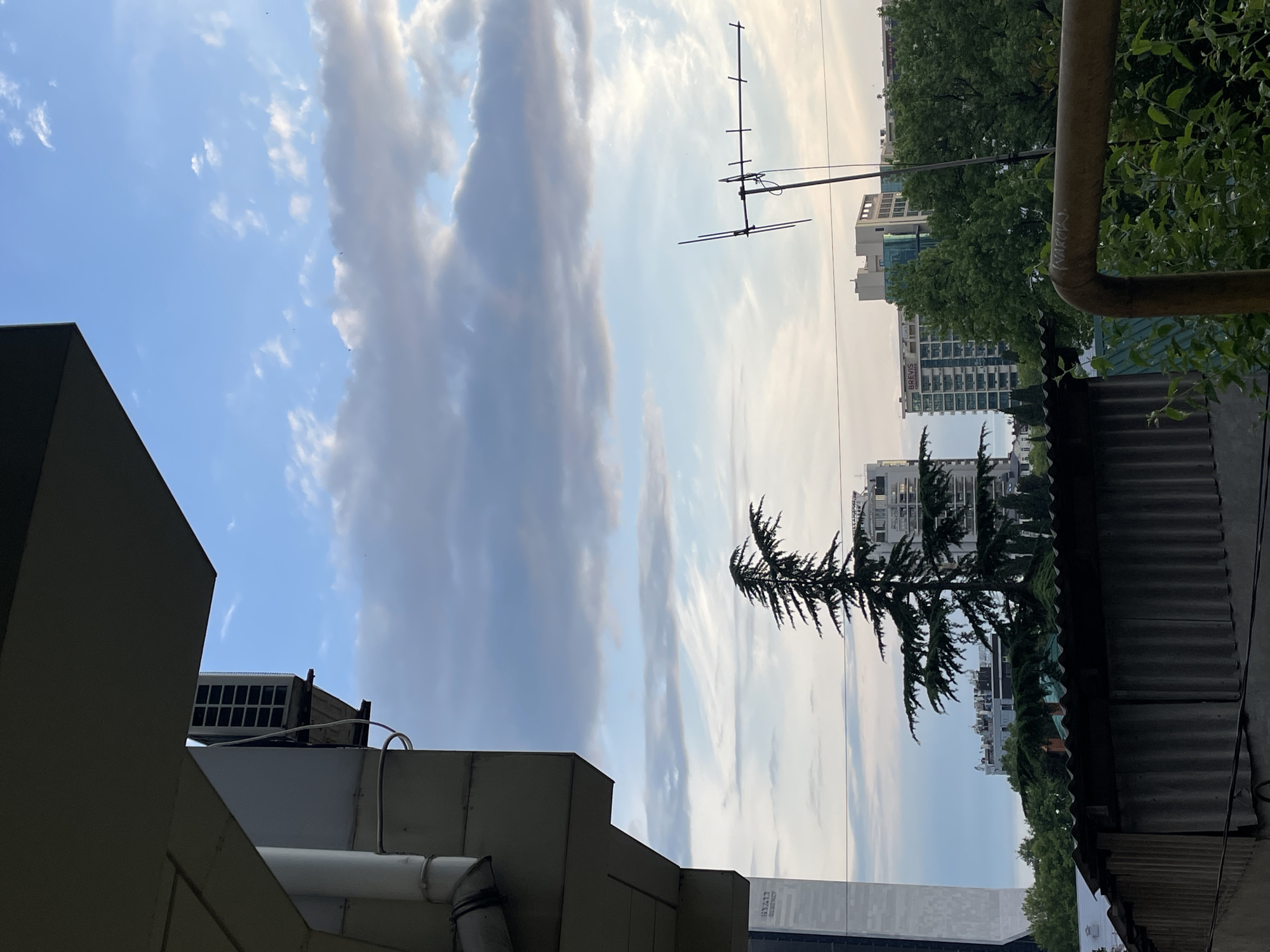 This is an outdoor photograph taken during daylight, likely in the late afternoon or early evening, given the soft lighting. The perspective is from a slightly elevated viewpoint, looking out over a cityscape. In the foreground, on the left, is a section of a building's exterior, featuring a protruding roof overhang and a white pipe. The middle ground is dominated by a tall evergreen tree with prominent branches, positioned against a backdrop of the sky and other buildings. In the distance, several multi-story buildings are visible, some appearing to be residential or hotel complexes with modern architecture. A TV antenna is also visible in the sky to the right. The sky is partially cloudy, with a mix of white and gray clouds against a blue expanse. The image appears to be taken in Sochi, Russia, given the architectural styles and vegetation. There are no people or animals visible in the frame. The overall scene depicts an urban environment with hints of natural elements.
