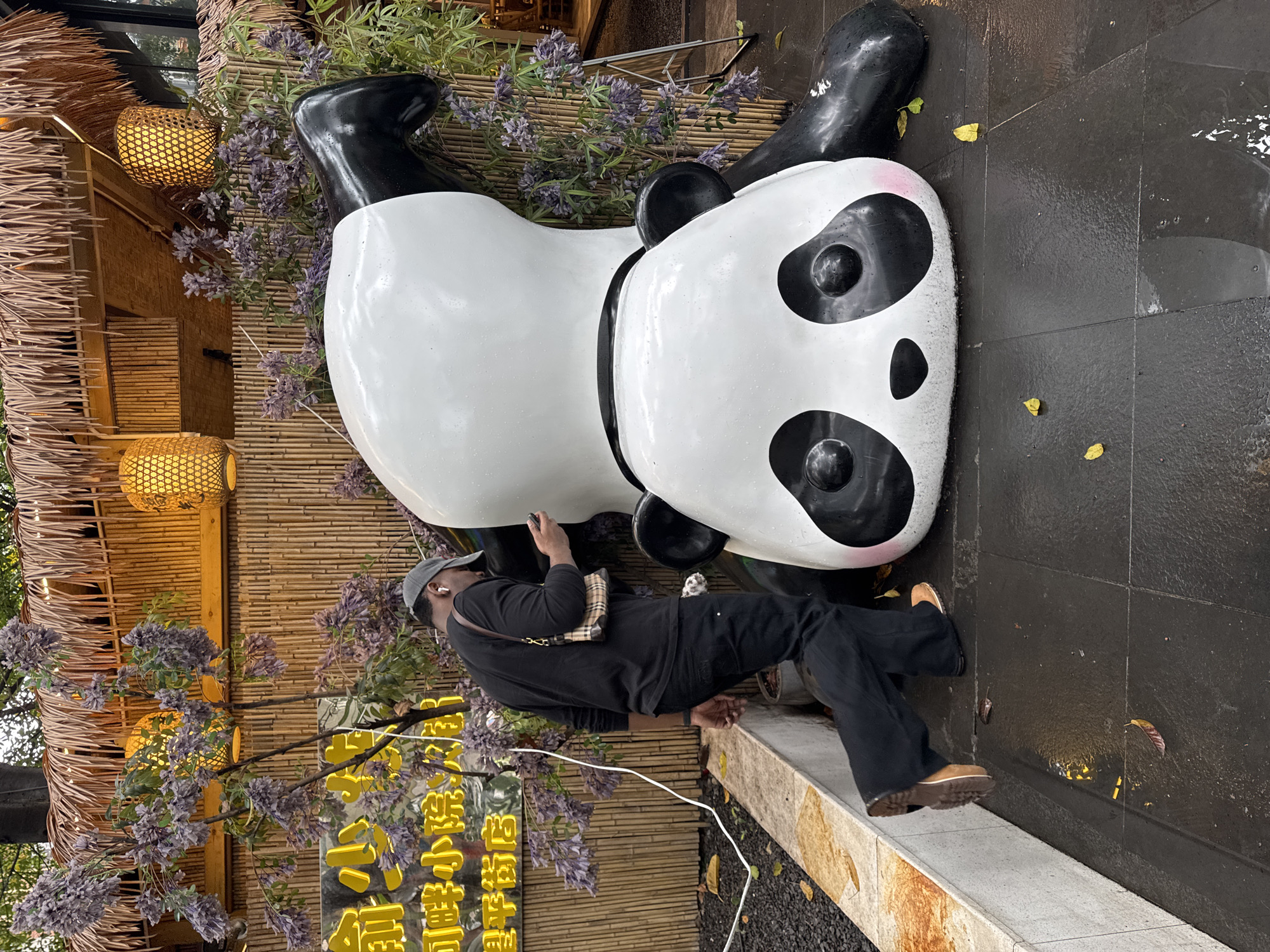 A man stands beside a large, prone, black-and-white panda statue in Chenghua District, China. He is wearing a dark gray hat, a black long-sleeved shirt, black pants, and tan shoes. A small brown shoulder bag is visible. The panda statue is lying on its back with its head towards the right of the frame. The ground beneath the statue is dark gray and wet, with scattered leaves. Behind the man and the panda statue is a bamboo wall decorated with hanging woven lanterns and purple flowering vines. A sign with yellow Chinese characters is visible to the left of the man. The setting appears to be an outdoor area, possibly a garden or plaza in the city.