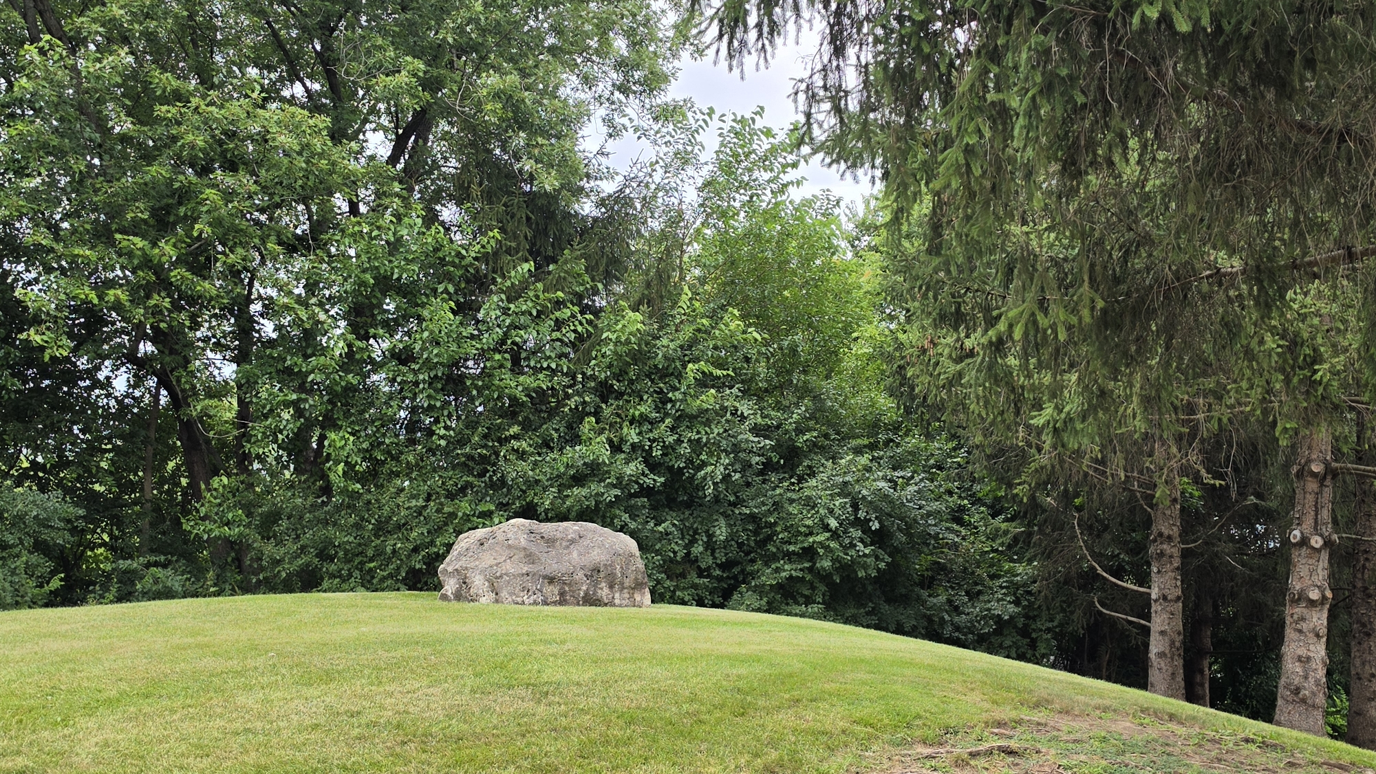 A large, rough-textured boulder sits on a gently sloping, manicured green lawn. The boulder is positioned towards the left of the frame, appearing as the primary focal point against the verdant backdrop. The lawn is evenly cut and a lighter shade of green, with some texture visible.
Behind the boulder and lawn, a dense wall of lush green trees rises, creating a natural barrier. These trees vary in species, with some appearing to be deciduous with broad leaves and others being coniferous with needle-like foliage, notably on the right side of the image where dark green pine or spruce branches hang down. The overall impression is one of a well-maintained park or natural area. The sky, visible in patches through the tree canopy, is overcast and a pale grey. The lighting suggests it is daytime, likely a cloudy or overcast day. There are no people, animals, or man-made structures other than the boulder visible in the scene. The scene is static and peaceful, indicative of a natural outdoor setting.