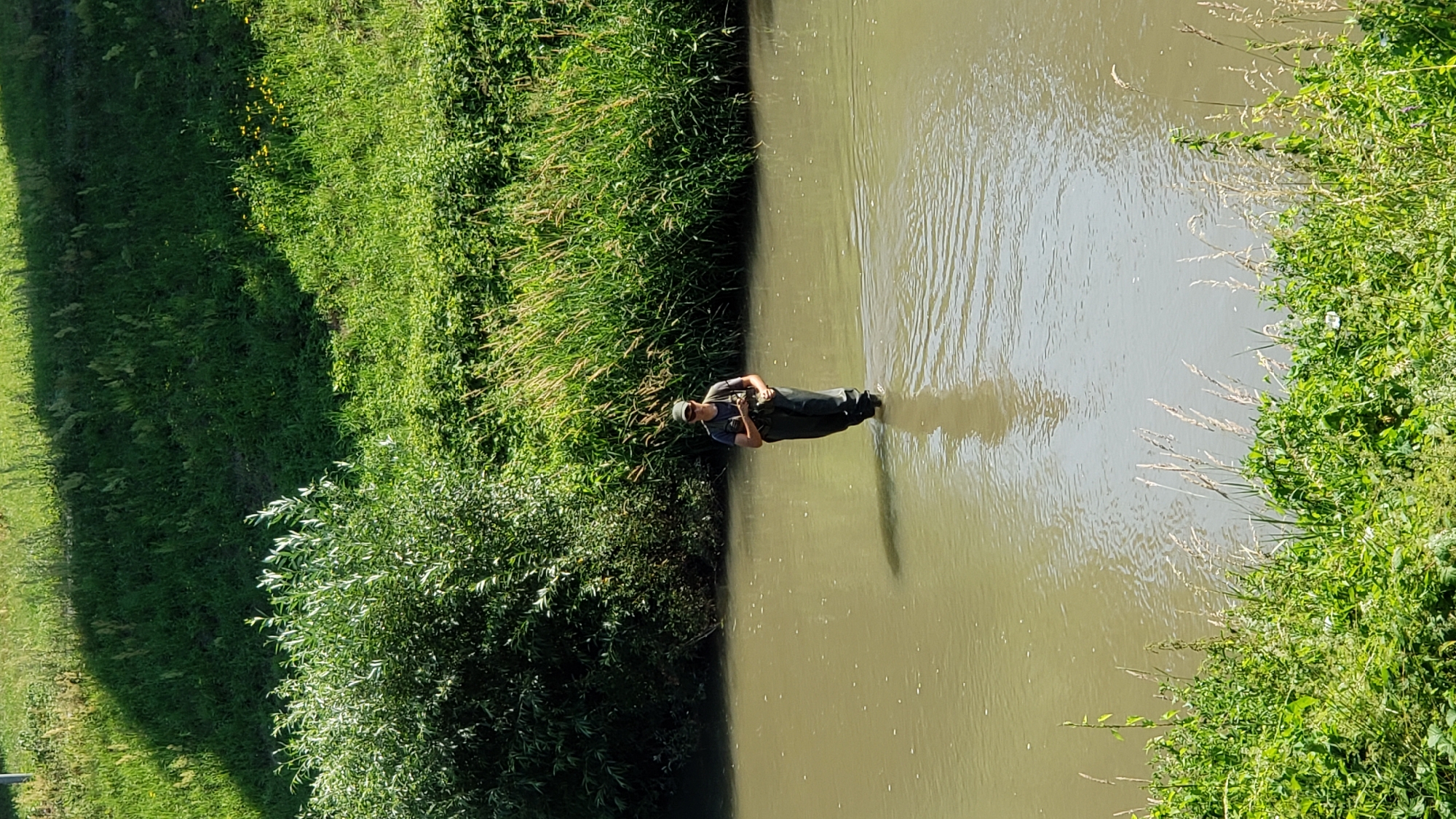 A person wearing waders and a cap stands in a shallow, murky river, holding something in their hands. The riverbanks are covered in lush green vegetation, including tall grasses and trees. The scene appears to be in a natural setting, possibly a park or a rural area outside the city of Prešov, Slovakia, given the absence of urban infrastructure. The lighting suggests a sunny day.