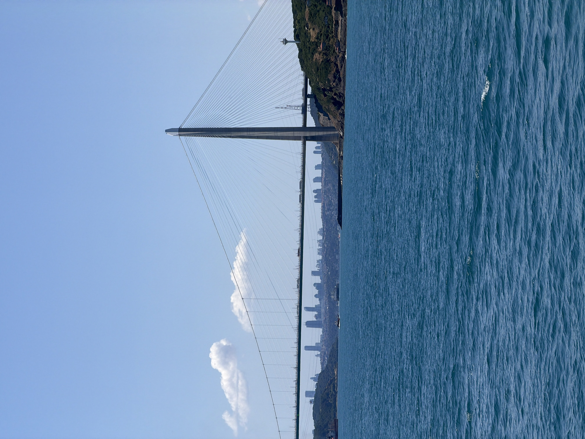 A vast expanse of deep blue water occupies the foreground of this vertical, daylight image. The water is slightly rippled, indicating a gentle breeze. In the midground, a large, modern cable-stayed bridge dominates the scene, stretching across the water. The bridge has a single, tall concrete pylon with numerous cables extending to support the roadway. The roadway is visible with several vehicles on it.
Beyond the bridge, a densely populated city skyline is visible on the distant horizon, characterized by numerous tall buildings. The cityscape is situated along a coastline with hilly, tree-covered terrain. On the right side of the midground, a rocky, tree-covered island rises from the water, topped with a white tower. The sky above is a clear, bright blue with a few scattered white clouds, one of which is particularly prominent near the bridge's span. Several boats, including a large cargo ship, are present on the water. The overall scene suggests a sunny day in a coastal urban environment.