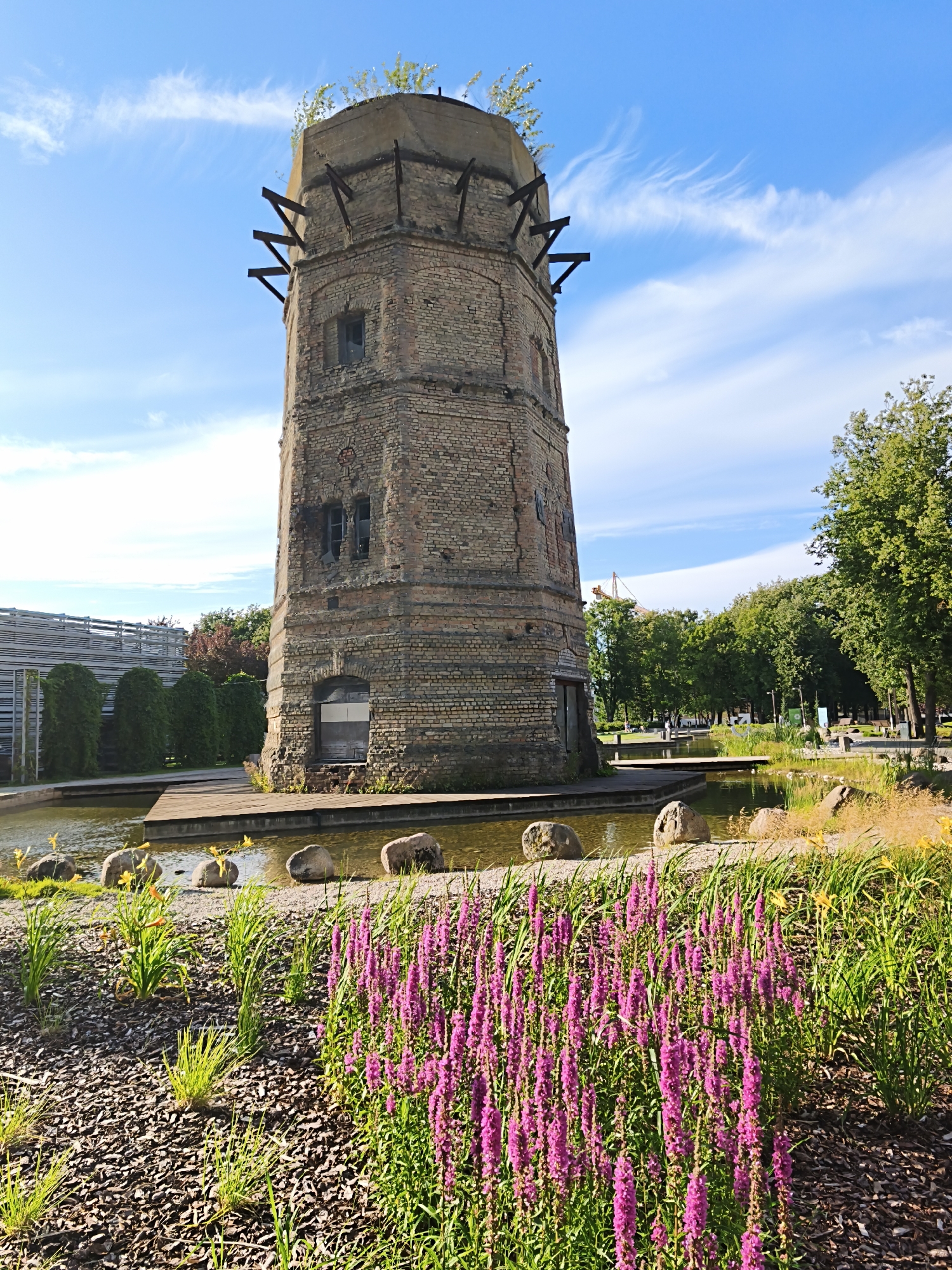 The image shows a cylindrical brick tower, likely an old industrial structure, at the Seaplane Harbour (Lennusadam) museum in Tallinn, Estonia. The tower has several small, rectangular windows and an arched entrance. At the top, scaffolding supports a makeshift roof with vegetation growing out of it. The tower is surrounded by a modern park-like setting featuring a shallow pond with wooden walkways and stepping stones. In the foreground, there is a garden with mulch, ornamental grasses, and vibrant pink and yellow flowers. In the background, there are trees, modern architectural structures of the museum, and a crane visible in the distance. The sky is blue with scattered white clouds. There are no people visible in the frame.