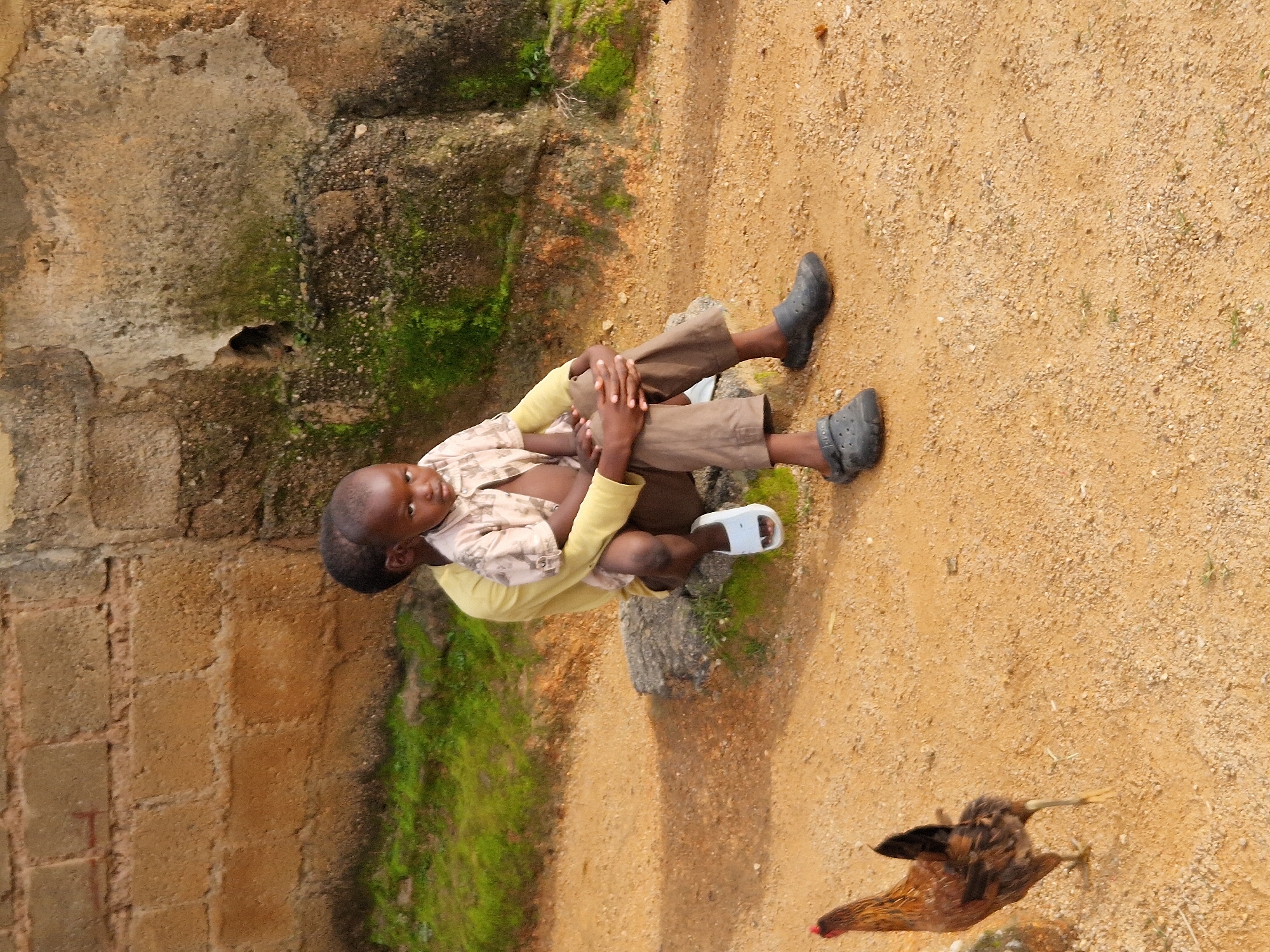Two young boys, likely of Nigerian descent, are sitting in a courtyard with a rustic brick wall in the background. The boy in the front is being held by the boy behind him. The boy in front is wearing a light-colored, short-sleeved shirt and brown pants. He has white sandals on his feet. The boy behind him is wearing a yellow shirt and brown pants, with dark colored clogs on his feet. A chicken is walking in the foreground on the dirt ground. The overall setting appears to be rural, with vegetation growing near the wall.