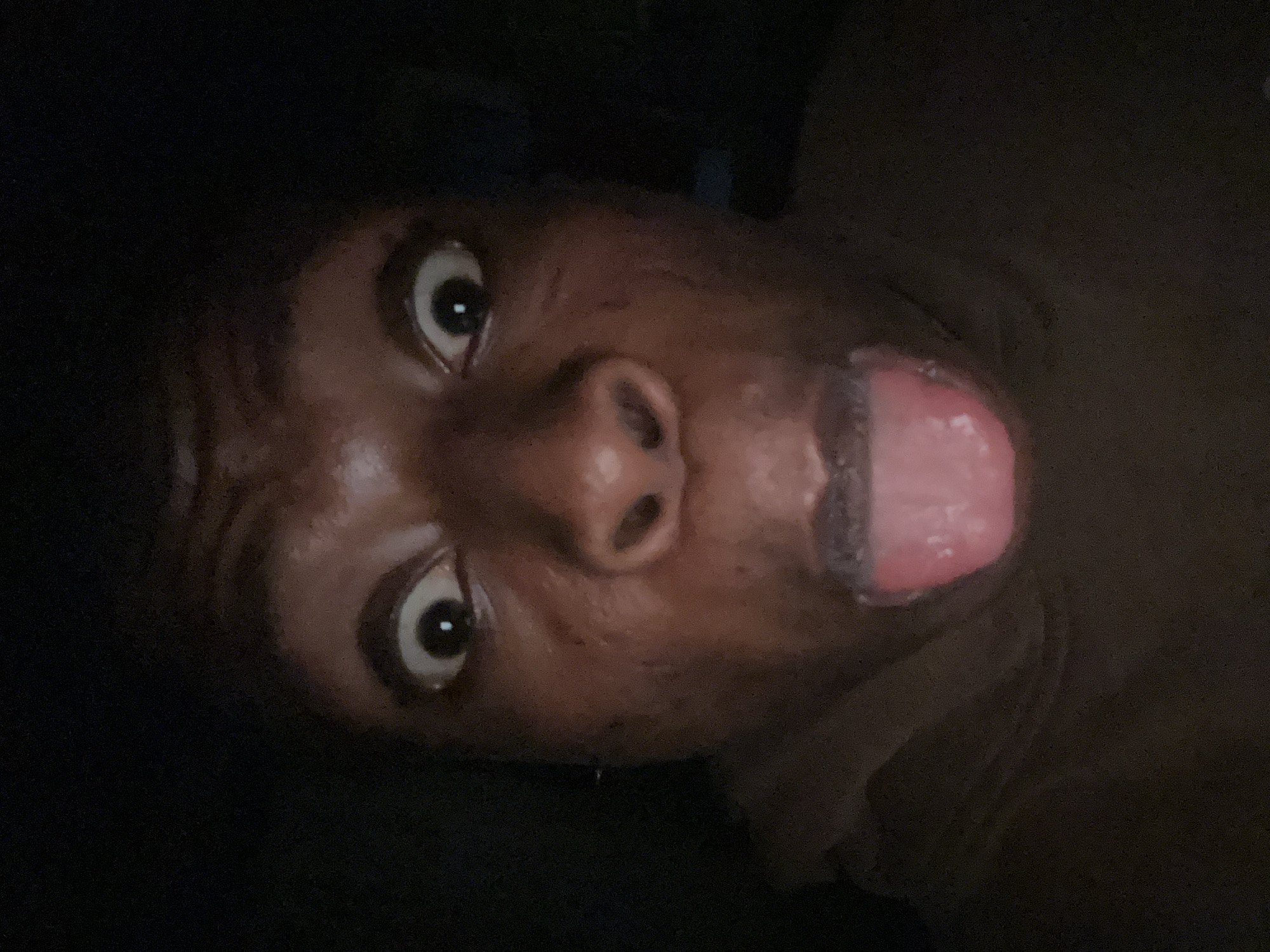 A low-angle, close-up photograph depicts a person with dark skin, sticking their tongue out. Their eyes are wide and focused toward the camera. The background is dark and out of focus. The location is Unknown, Unknown.