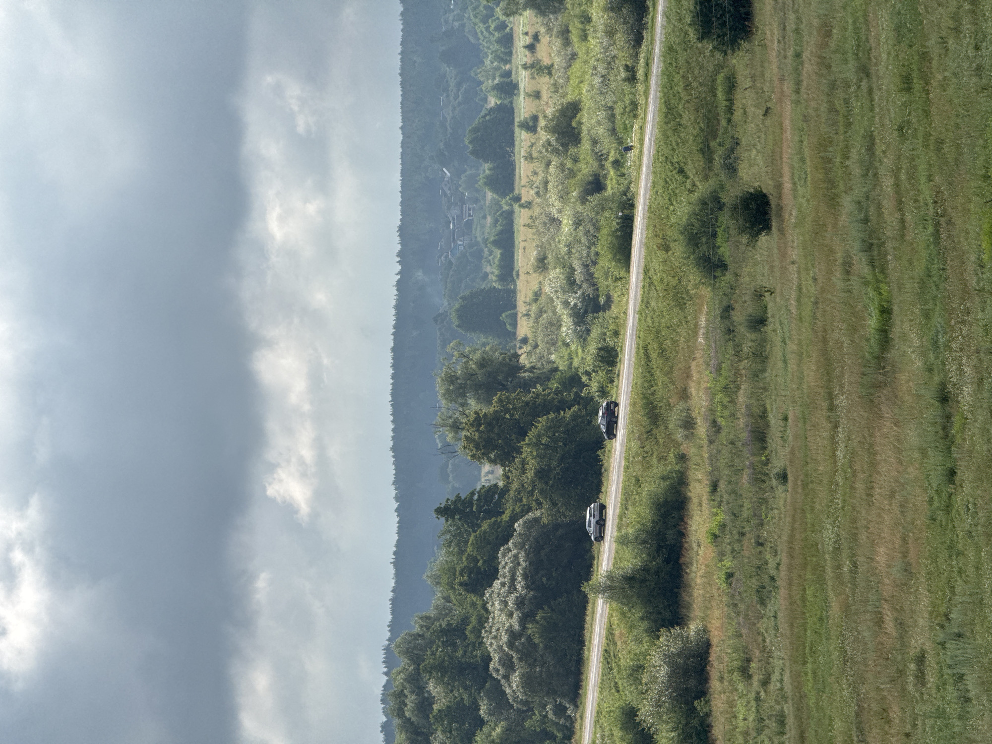 A wide-angle, slightly elevated shot captures a rural landscape under a cloudy sky. In the foreground, a verdant grassy field stretches out, transitioning to a paved road that curves from the left side of the frame towards the right, slightly elevated above the field. Two cars are visible on the road: a light-colored SUV traveling to the right and a darker sedan behind it, also moving right. Beyond the road, a dense, varied mix of green trees and bushes forms a natural barrier, with some appearing more manicured and others wilder. In the distance, a dense forest line forms the horizon, with a small cluster of houses barely visible through the trees, suggesting a village. The sky is filled with heavy, grey clouds, casting a diffused light over the entire scene, hinting at an overcast or impending rainy day. The overall impression is one of a quiet, natural setting with human elements integrated into the environment.