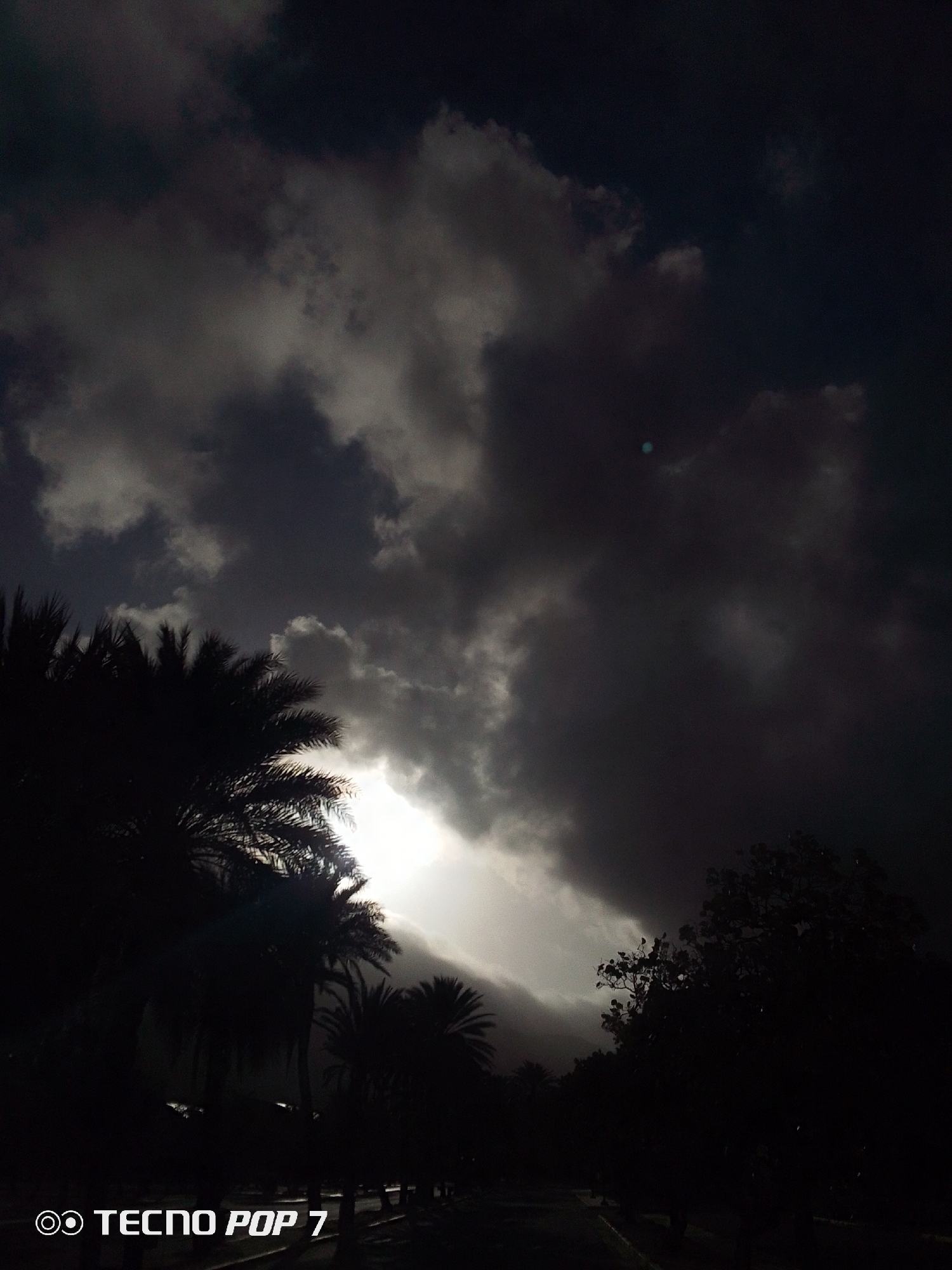 The image depicts a dark, overcast scene in Pedro González, Venezuela. The sky is filled with heavy, dark clouds, with a small area of brighter light visible through a break in the clouds. Silhouetted palm trees and other vegetation dominate the lower half of the image. A road runs along the bottom. The scene is generally dark, and the photographer’s camera model, a TECNO POP 7, is visible in the corner.