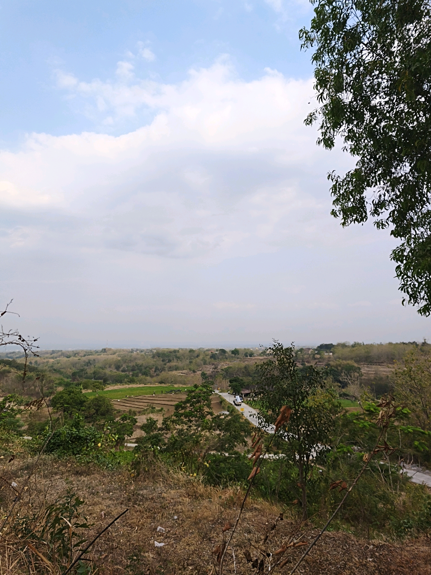 The image depicts a panoramic view of a rural landscape in Rejosari, Indonesia, under a partly cloudy sky. In the foreground, dry, brown vegetation and a few thin branches dominate the terrain, with scattered white debris visible on the ground. The middle ground reveals a terraced field, some parts of which appear to be planted with green crops, while others are arid. Several small figures are dispersed across these fields, engaged in what could be agricultural work. A paved road with a white vehicle driving on it curves through the landscape. The background consists of rolling hills covered in various shades of green and brown trees and vegetation, extending towards a hazy horizon. The image is captured from an elevated viewpoint, looking down onto the valley.