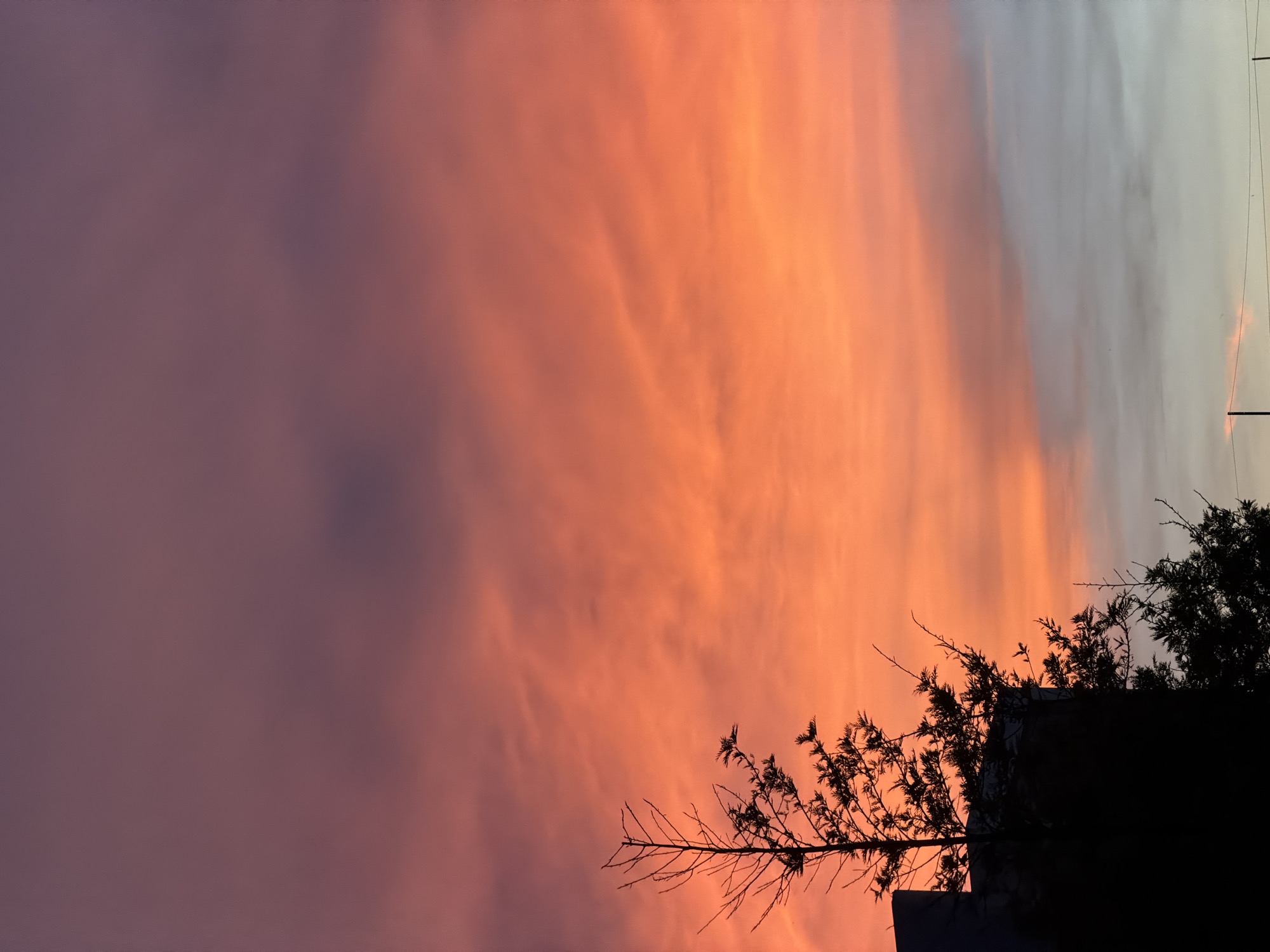 A twilight sky over Thep Krasatti, Thailand, is dominated by vibrant hues of orange and pink, with streaks of purple and gray clouds. In the foreground, the dark silhouette of a building and a sparse, leafless tree are visible against the colorful sky. The tree's bare branches are silhouetted, reaching upwards. The bottom of the frame shows a hint of a gray horizon with faint electrical wires.