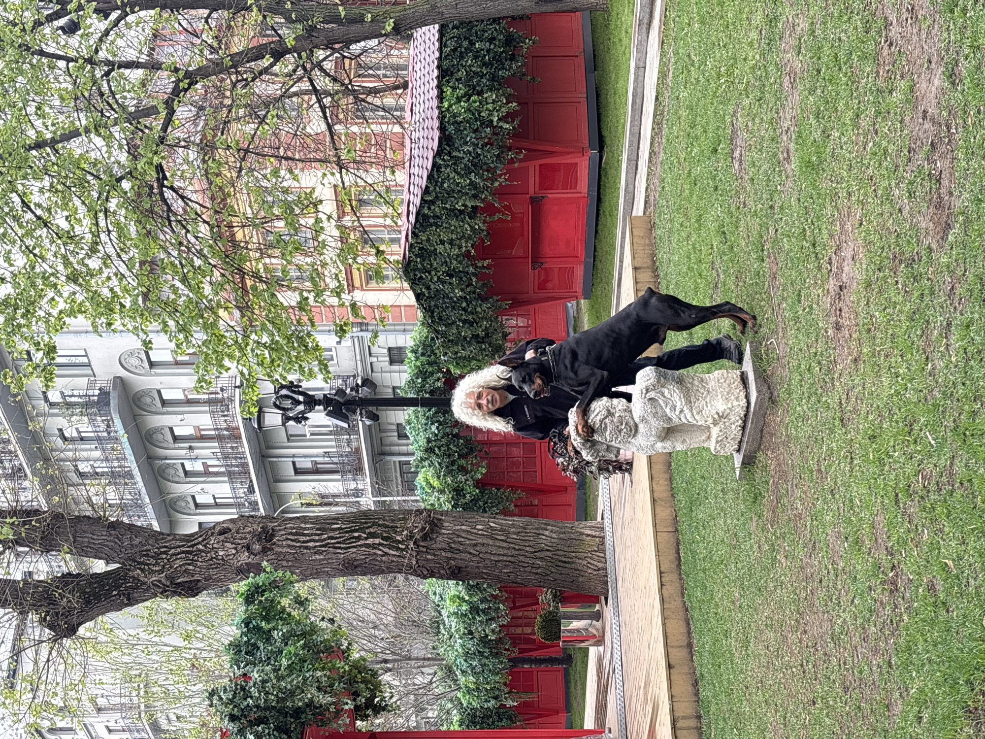 Here's a forensic description of the image:
**Setting:** A park or garden area, presumably in Moscow, Russia, based on the architectural style of the building in the background.
**Objects:** A large tree with a textured trunk dominates the foreground. Behind it, is an old building and there are a number of potted evergreen plants and a red building. Next to the tree is a light post. To the right of the trees are a stone sculpture and a strip of grass.
**People:** An adult with long, white, frizzy hair stands adjacent to the sculpture.
**Animals:** A large, black dog is positioned on top of the sculpture.
**Activities:** The person appears to be near the sculpture with the dog on top of it. It's unclear what they are doing.
**Interactions:** The dog and person are close together. It is difficult to ascertain their exact interaction due to the photo's perspective and angle.