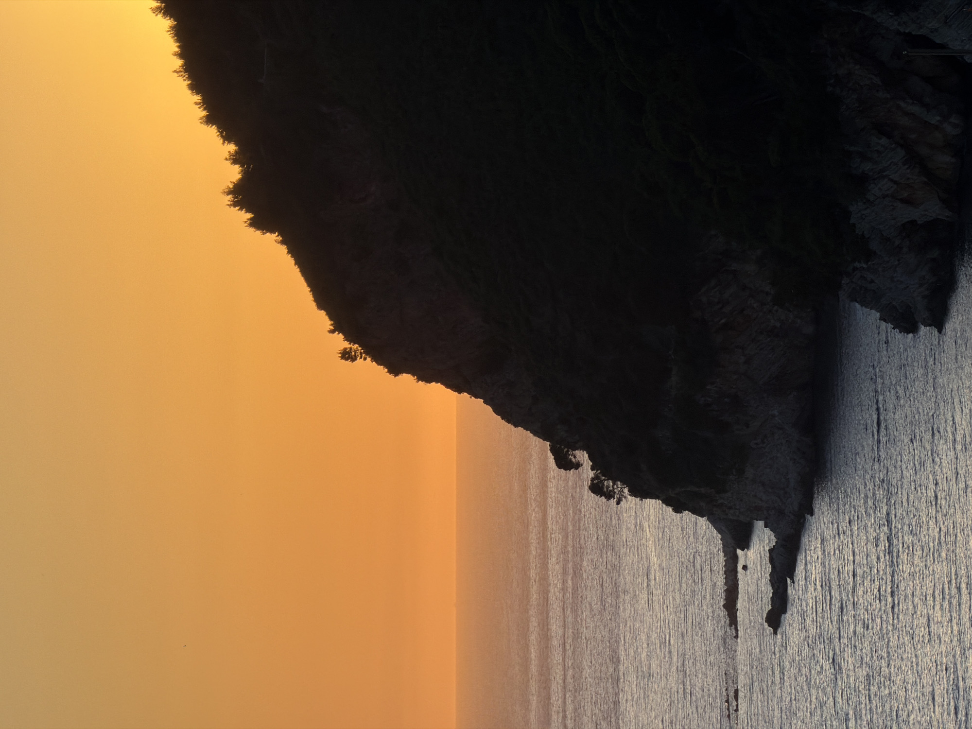 This vertical image depicts a coastal scene at either sunrise or sunset in Petrovac na Moru, Montenegro. The upper two-thirds of the frame display a clear, gradient sky, transitioning from a bright orange-yellow along the horizon to a deeper, more saturated orange-brown overhead. A distinct, level horizon line separates the sky from the sea. The sea occupies the lower-left quadrant, exhibiting a calm surface with subtle ripples that reflect the ambient light in muted grey and purplish tones. A faint, dark silhouette of a ship or distant structure is discernible on the horizon line, slightly right of center, within the sea portion of the image.
The right side of the image is dominated by a large, steep landmass, presenting as a dark, forested cliff that rises abruptly from the sea and is silhouetted against the bright sky. The cliff face itself is dark and rocky, while its slopes and crest are densely covered in dark coniferous vegetation. This vegetation creates a jagged, irregular outline against the bright sky, with individual tree forms clearly distinguishable along the ridge. At the base of the cliff, where it meets the water in the lower-left and lower-right, several rocky outcrops and smaller formations extend into the sea, breaking the waterline. No human figures or overt signs of immediate human activity are visible within the frame.