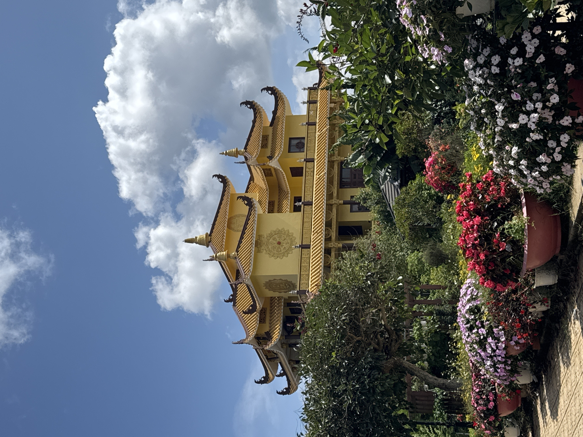 The image shows a vibrant, multi-tiered yellow Buddhist temple with ornate, upturned eaves against a bright blue sky dotted with white clouds. In the foreground, a lush garden bursts with colorful flowers in shades of pink, purple, red, and white, planted in large terra cotta and white pots. A tree with dark green foliage stands to the left, and more greenery fills the spaces between the flowers and the temple. The temple's architecture is distinctly Asian, featuring intricate patterns on its facade and golden spires. The scene suggests a serene and picturesque location, likely a tourist attraction or spiritual site in Da Lat, Vietnam.