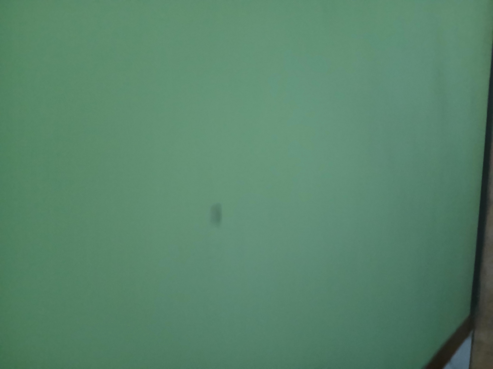 The image is a close-up, slightly blurry shot of a light green wall. In the center of the frame, there is a small, dark, irregularly shaped smudge. The bottom edge of the frame shows a sliver of a wooden surface. The scene appears to be indoors. The image does not provide any information about its location in the city of Tenggarang, Indonesia, or any details about people, actions, or interactions.