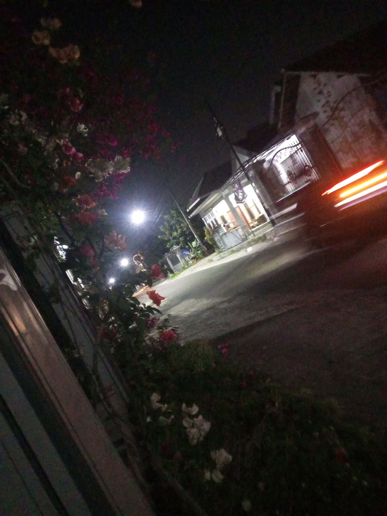 The image depicts a nighttime street scene in Ngasem, Indonesia, with a focus on a residential area. In the foreground, a dense cluster of flowering plants, including bougainvillea with pink and white blossoms, cascades along a fence. To the right, a paved road is visible, illuminated by a bright streetlight. Further down the road, a house with an open doorway and lit interior is discernible. The scene is further characterized by the streaks of light from a moving vehicle, indicating a long exposure photograph. The overall ambiance is tranquil, with the gentle glow of artificial light illuminating the dark surroundings.
