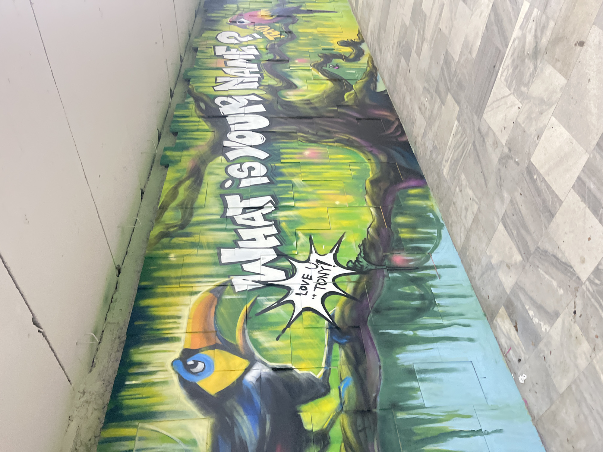A vibrant graffiti mural transforms a long, vertical wall within what appears to be an urban underpass or sheltered walkway in Sofia, Bulgaria. The artwork depicts a lush, stylized jungle or forest scene, characterized by bright greens and yellows, and intricate dark, twisting tree trunks.
Dominating the upper half of the mural are large, white, bold letters spelling out the question: "WHAT IS YOUR NAME?". Towards the lower left, a prominent toucan is illustrated with a distinctive orange and yellow beak, black and blue plumage, and a blue eye. A white, starburst-shaped speech bubble originates near the toucan, containing the text: "LOVE U ..TONY!". Further into the jungle background, a smaller, colorful bird, possibly a parrot, can be seen.
The mural's dynamic colors stand in stark contrast to its surroundings. To the left, a plain, light-colored concrete wall shows some minor cracks and small hooks. To the right, a floor made of light grey, diagonally patterned tiles stretches away, indicating an urban environment. The artwork brings a lively and imaginative element to an otherwise utilitarian space.