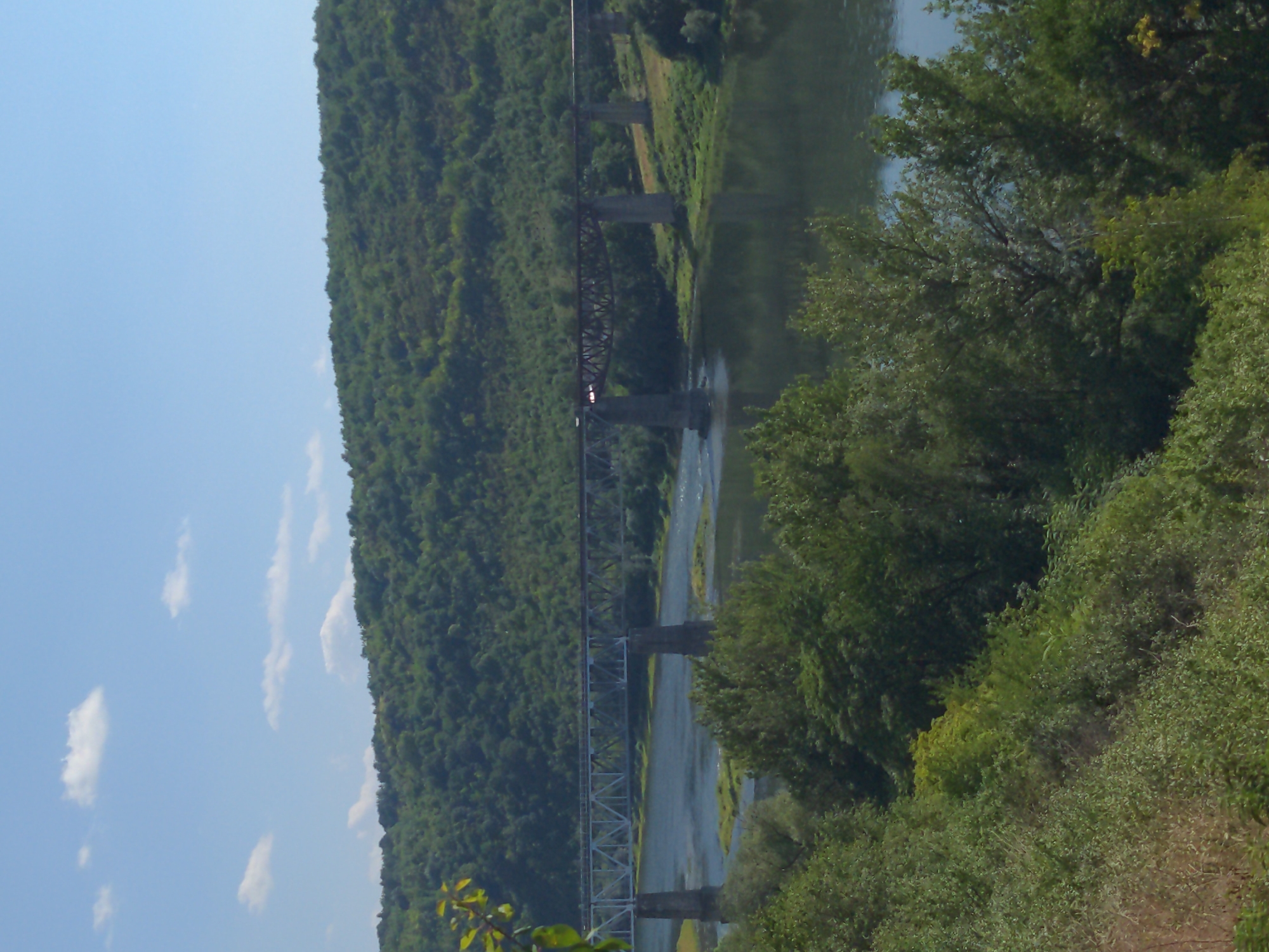 This is a scenic, eye-level, wide-angle shot of a river and a railway bridge in Zalishchyky, Ukraine. The image is dominated by lush green vegetation, with a densely forested hillside forming the backdrop. The river, a dark, reflective blue, flows gently across the middle ground. Spanning the river is a long, sturdy railway bridge constructed of metal and supported by concrete piers. The bridge's intricate latticework is visible, suggesting a functional but also somewhat industrial element in the otherwise natural landscape. The sky above is a clear, pale blue with a few scattered white clouds. The foreground is filled with more trees and foliage, creating a sense of depth and emphasizing the natural beauty of the location. The image appears to have been taken on a sunny day.