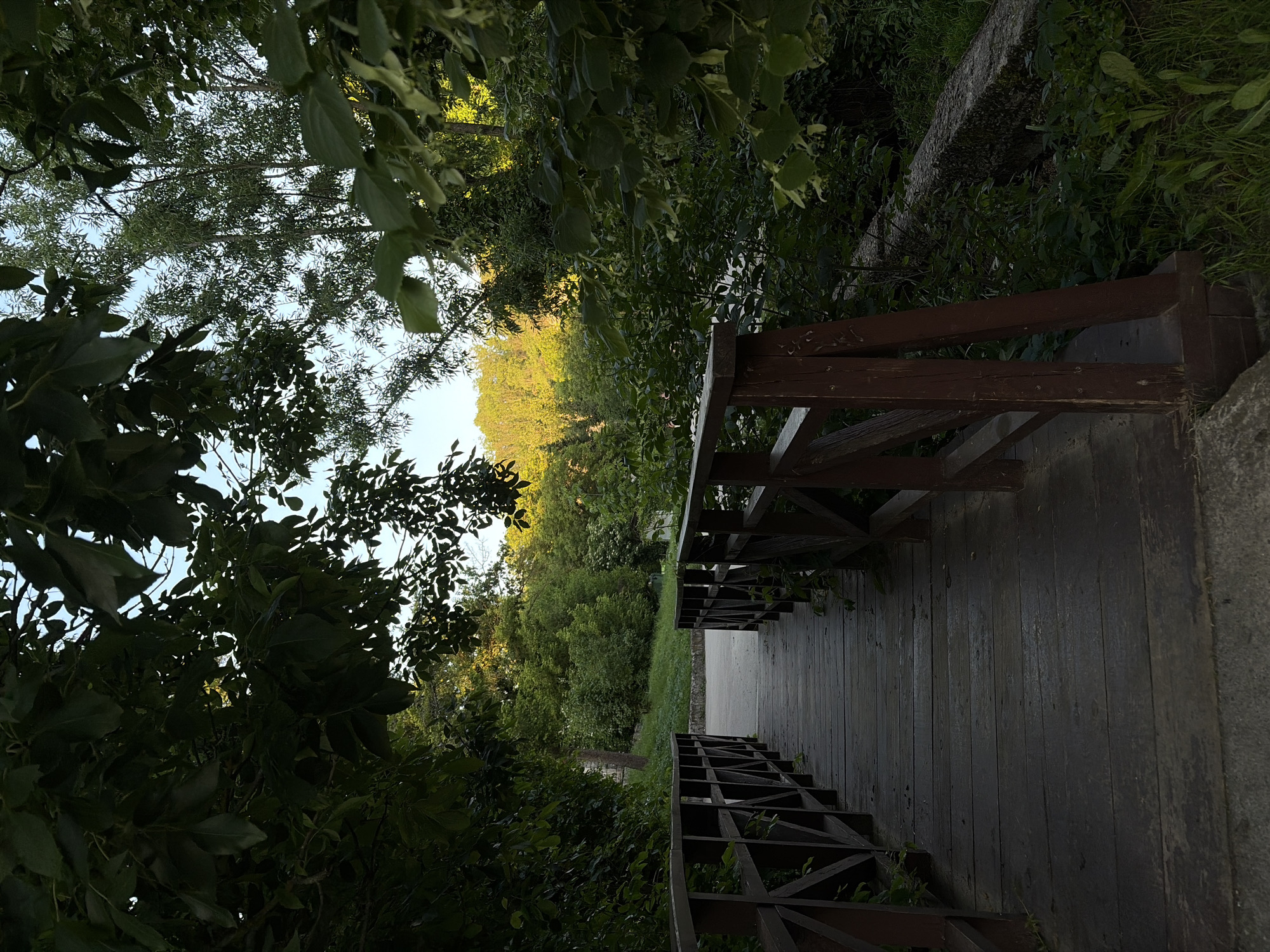 A wood bridge with dark brown railings spans a narrow path surrounded by lush green foliage. The bridge leads to a sunlit area through the dense trees. The camera is positioned on the bridge, looking toward the open area. The trees surround the view above and to the sides, creating a natural tunnel. The image appears to be taken during daylight hours.