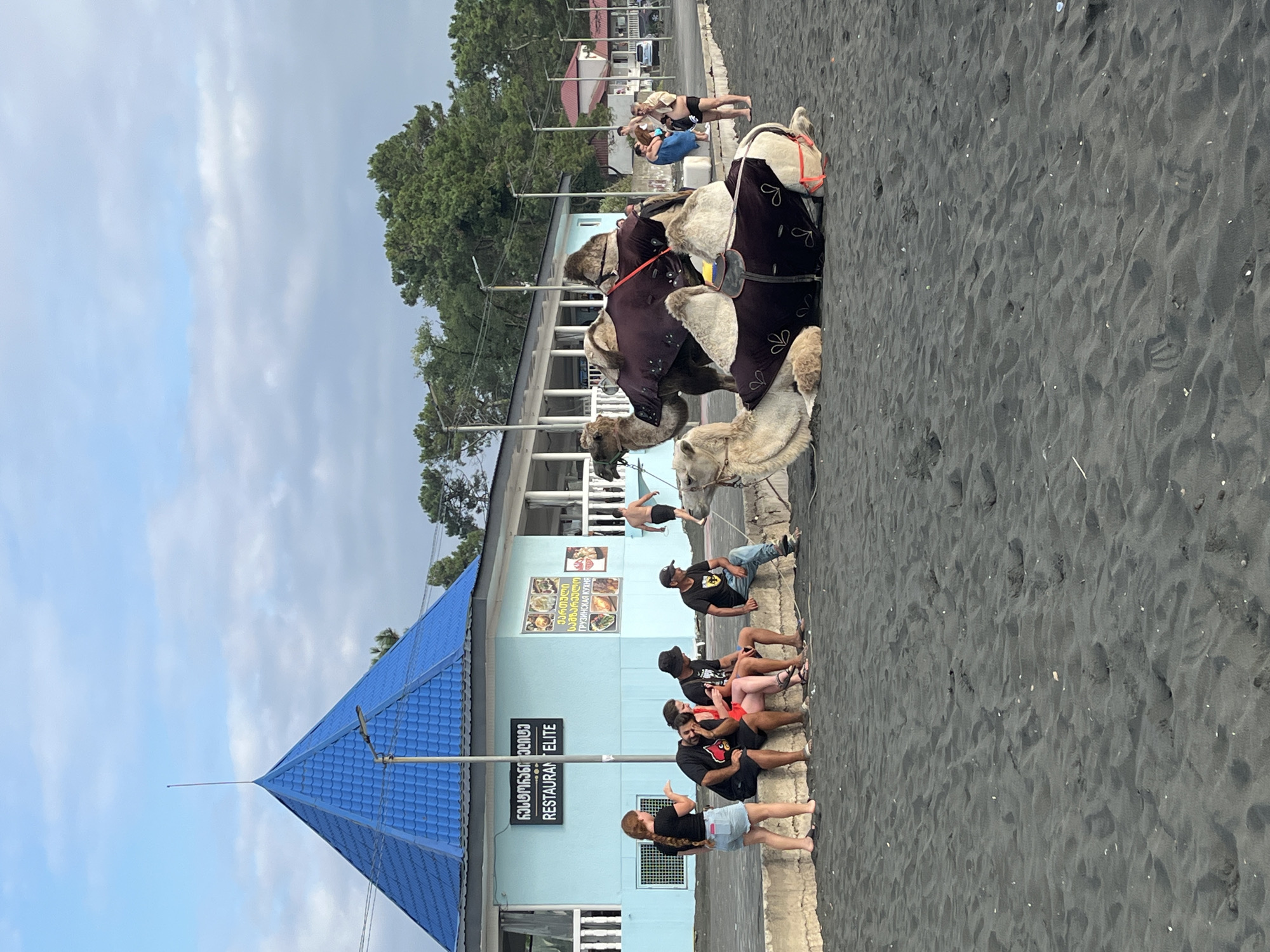 The image captures a sandy beach scene in Ureki, Georgia, featuring two camels adorned with decorative blankets and saddles. One camel is standing, while the other is resting on the dark sand. A group of people is seated on a low concrete wall along the beach. Behind them, a light blue building with a distinctive blue pyramid-shaped roof houses a restaurant labeled "RESTAURANT ELITE." The restaurant also displays advertisements for Georgian cuisine. In the background, more buildings, trees, and a few individuals are visible. The overall environment suggests a relaxed, possibly tourist-oriented atmosphere on a cloudy day.