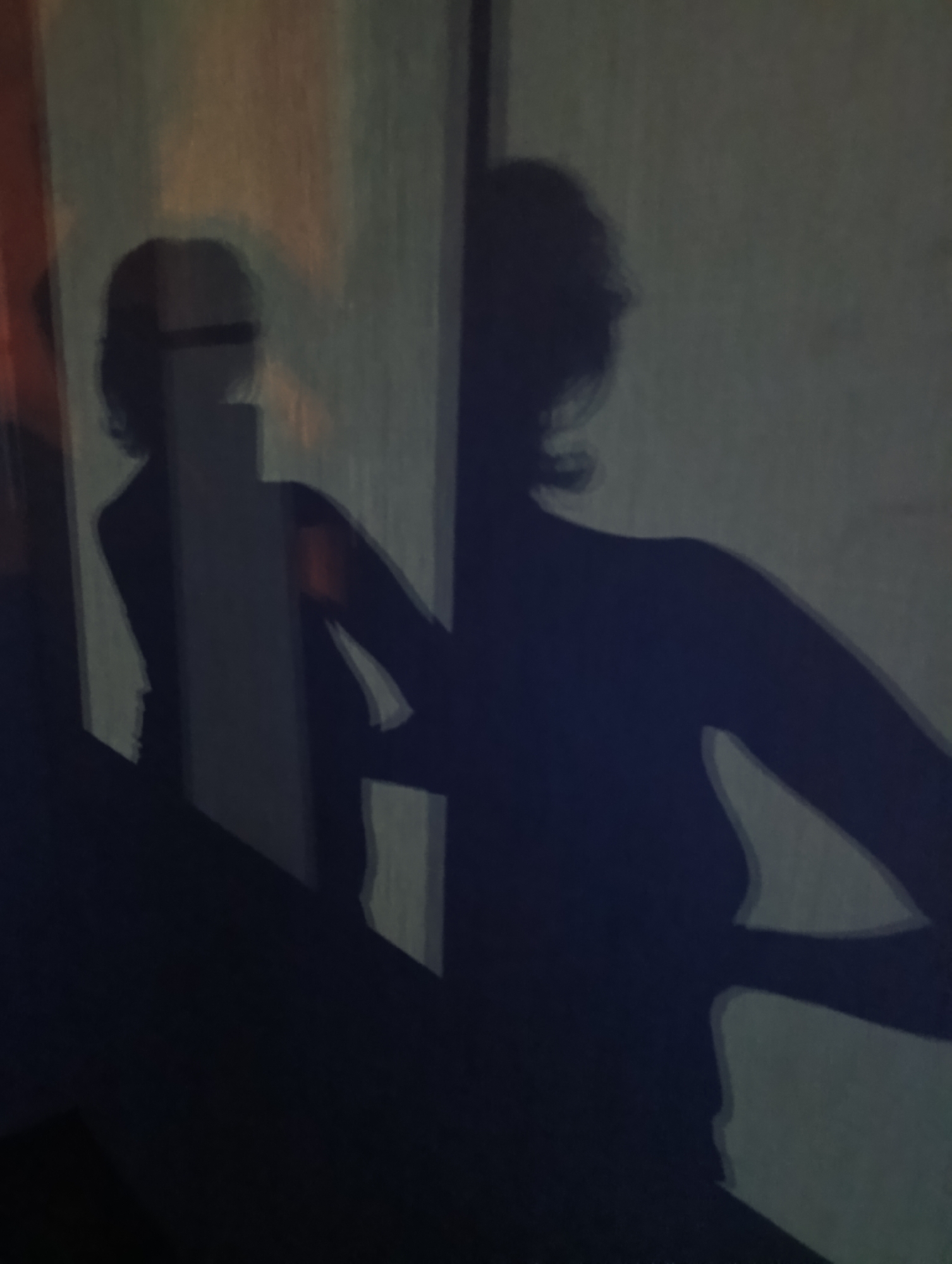 The image displays the silhouetted reflections of two individuals against a wall illuminated by ambient light. The left silhouette, partially obscured by a vertical rectangular shape, suggests a person holding a phone or similar object. The right silhouette appears to be a person with arms bent at the elbows. The background wall has varying shades of light and shadow, suggesting a textured surface or uneven lighting. There is no discernible indication of the location being Moscow, Russia, or any specific urban setting.