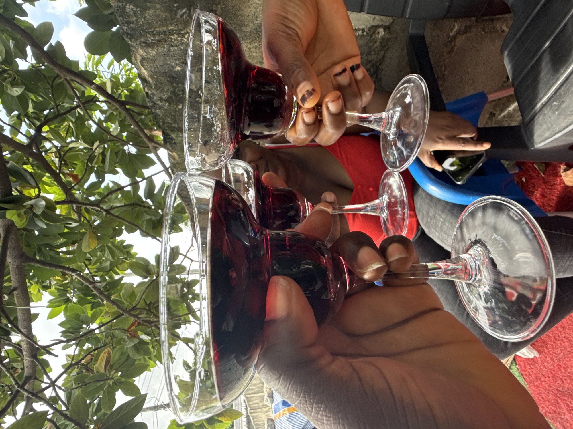 Four wine glasses are held together in a toast outdoors, with red wine visible inside. Dark-skinned hands hold the glasses. The background shows green foliage, a concrete structure, and partial views of people seated in the scene. One person in the background is looking at a phone. The location is Ado, Nigeria.
