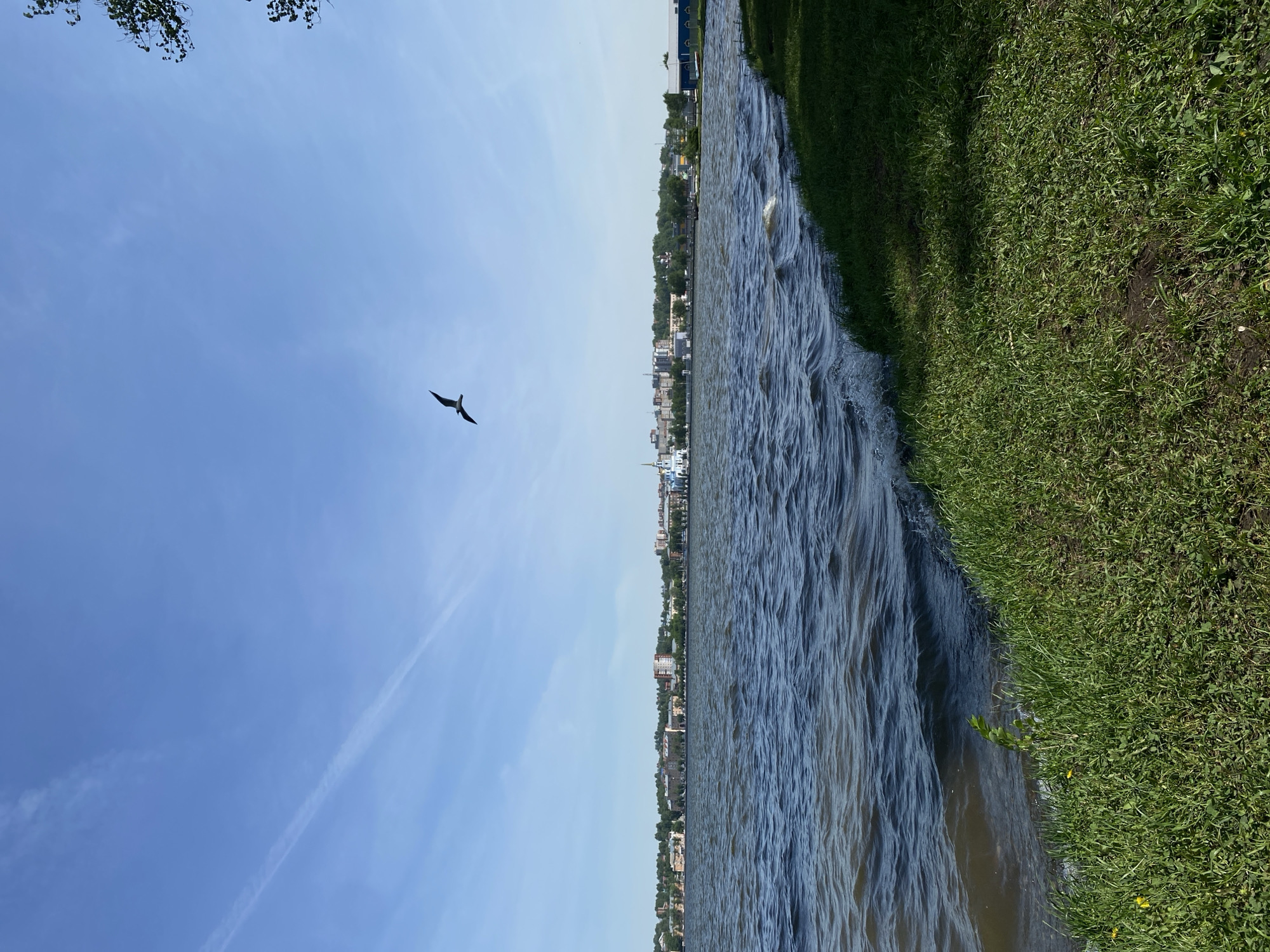 The image depicts a waterfront scene in Votkinsk, Russia. On the left is a clear blue sky with a single bird in flight. A faint contrail stretches across the sky. To the right is a view of the city's waterfront, with the water's edge meeting a grassy bank. The water is choppy. Buildings can be seen further back in the city.