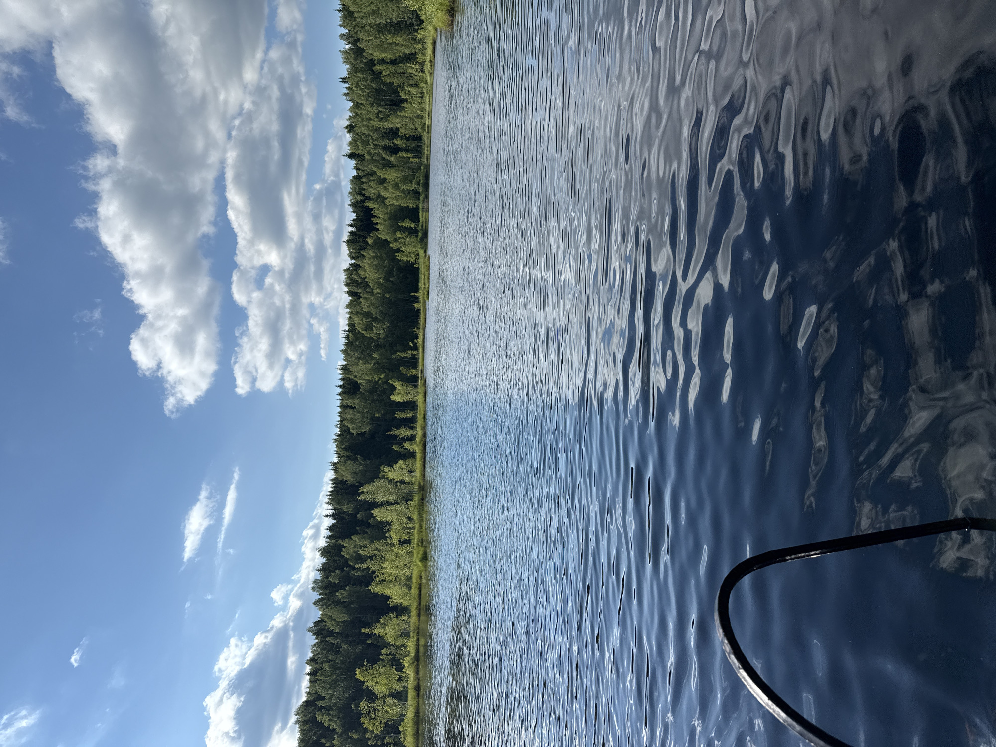 This is a medium shot, taken from a boat, of a serene lake on a sunny day. The left side of the frame is dominated by a bright blue sky filled with fluffy white clouds. A dense, green forest lines the opposite bank of the lake, creating a stark contrast with the open sky. The water's surface is rippled, reflecting the sky and the trees, giving it a dynamic texture. The sun is high in the sky, suggesting it's likely midday. The scene evokes a sense of peace and tranquility, typical of a summer day spent outdoors. There is no visible text in the image. The context of Приозерное Снт, Russia, places this scene in a natural, possibly recreational setting.