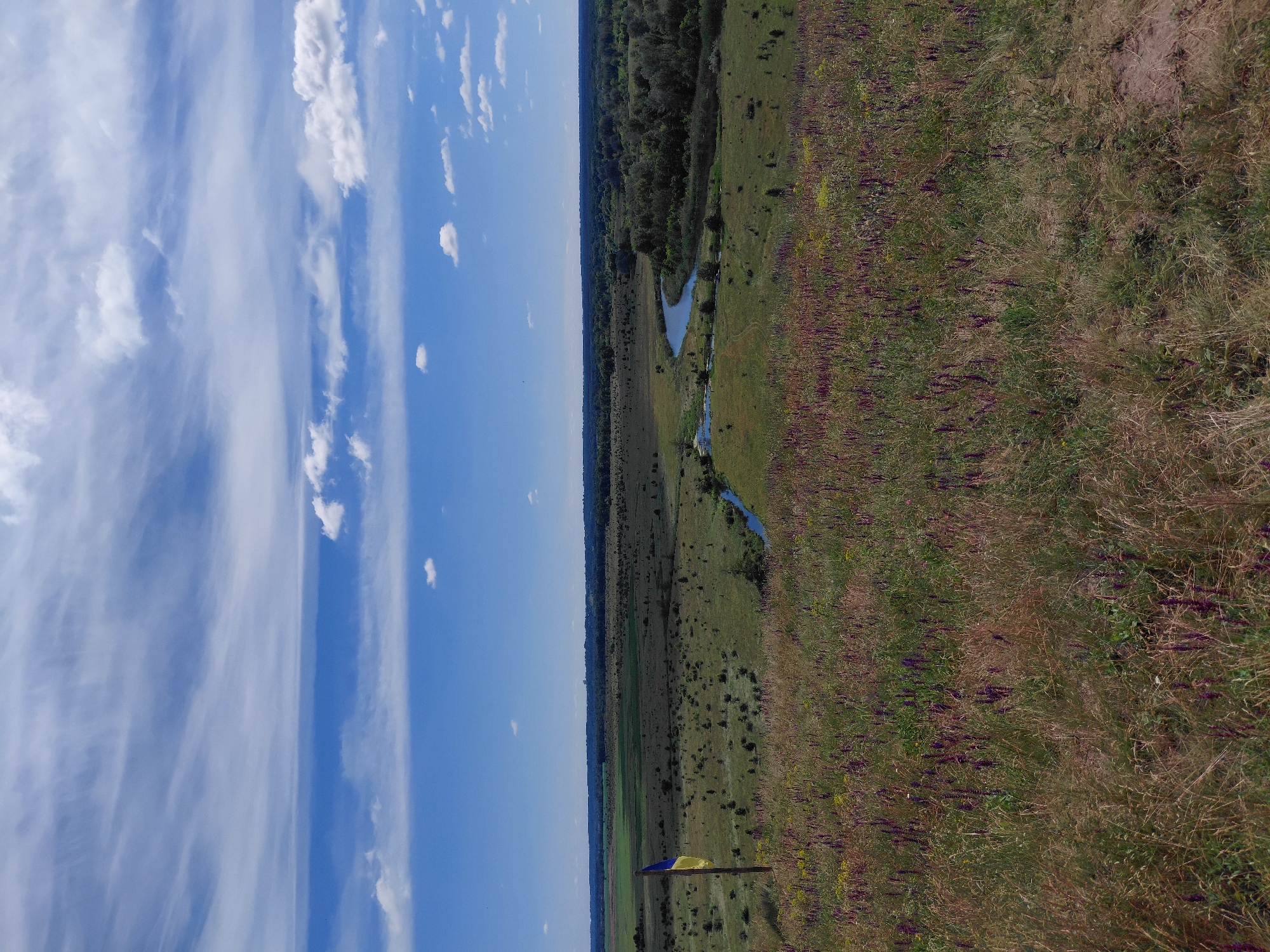 A wide, panoramic view of a rural landscape under a bright blue sky dotted with wispy white clouds. In the foreground, a grassy hillside is covered with dry grasses and sparse purple wildflowers. To the left of the frame, a wooden pole flies a Ukrainian flag, its blue and yellow colors a stark contrast against the muted tones of the landscape. The middle ground reveals a vast expanse of green fields, dotted with small trees and bushes. A winding river snakes through the landscape, reflecting the blue of the sky. The background is dominated by a dense line of dark green trees stretching across the horizon, with a hint of buildings or structures barely visible beyond them. The overall impression is one of natural beauty and tranquility in a rural setting, possibly on the outskirts of Ustyvytsia, Ukraine.
