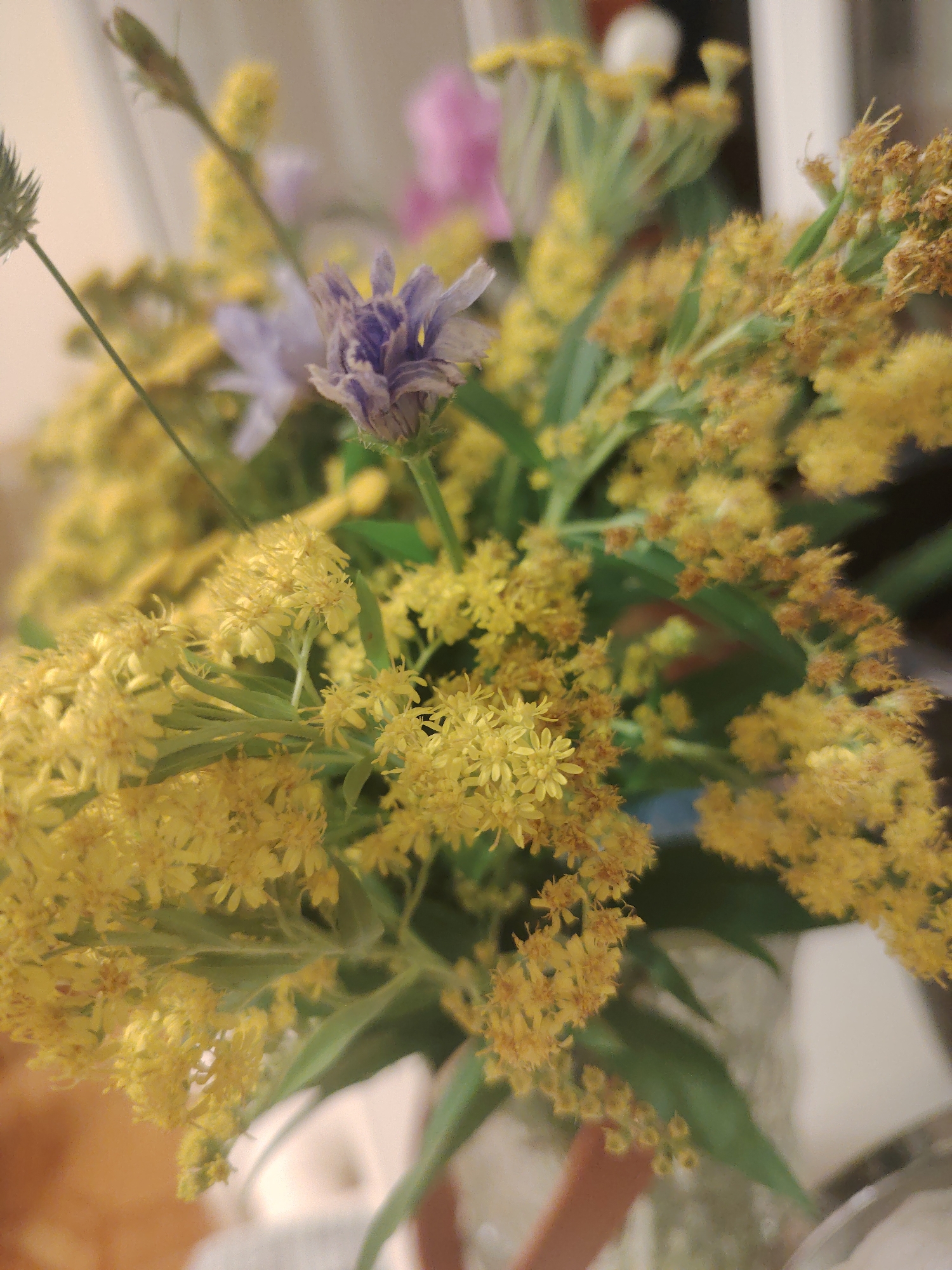A close-up, shallow depth of field photograph depicts a bouquet of yellow wildflowers, likely goldenrod, arranged in a vase. A single purple flower, possibly a thistle or cornflower, is visible in the center. The background is blurred, showing hints of other flowers and a light-colored surface, possibly a wall or curtain. The lighting appears to be soft and natural, with no harsh shadows. The overall impression is one of natural beauty and rustic charm. The image was taken in Konakovo, Russia.