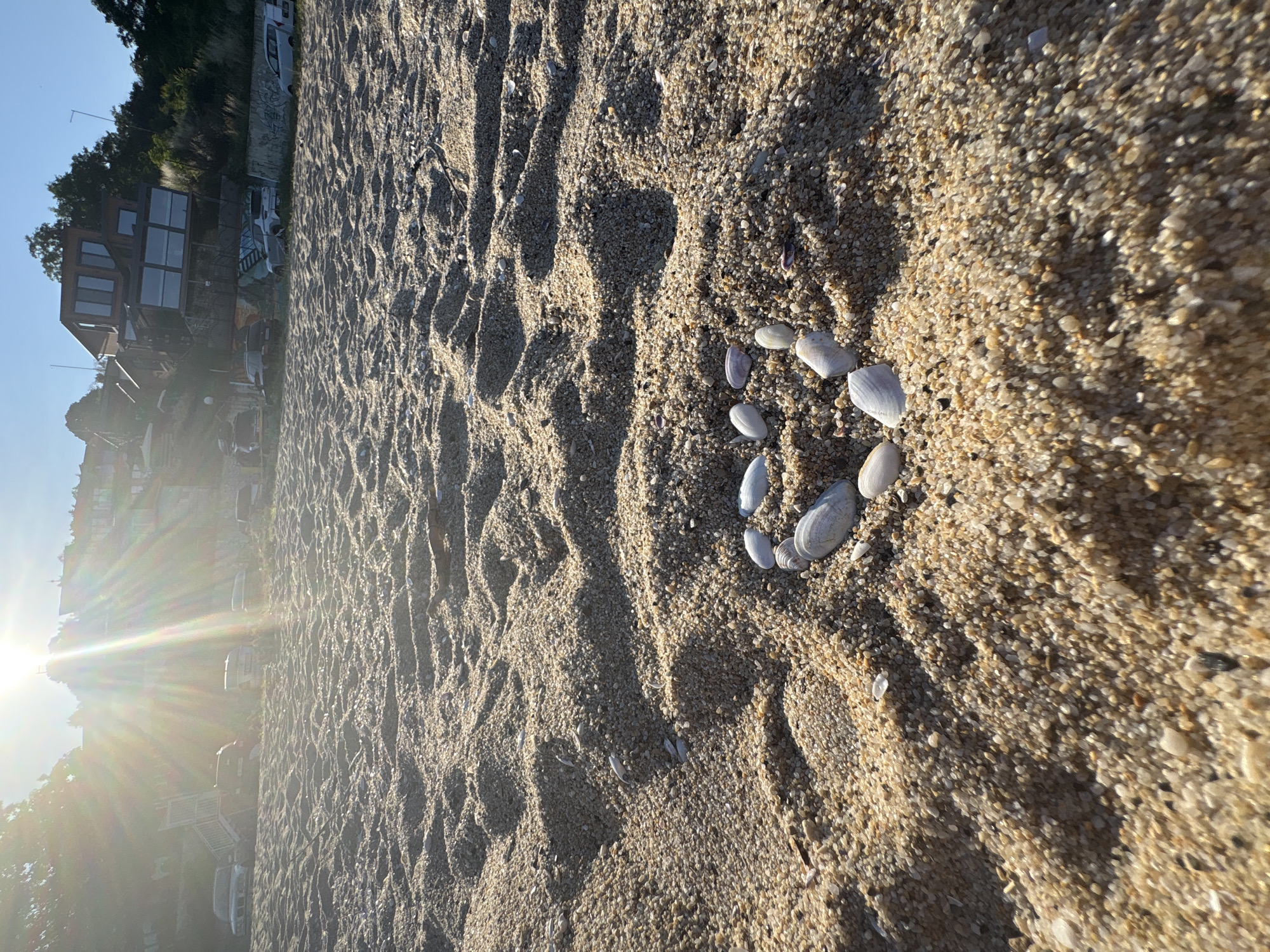 The image shows a close-up view of sand on a beach, with several small shells arranged in a circular pattern in the center of the frame. The sand is coarse and a light brown color, with shadows cast by ripples in the sand, suggesting a low angle of the sun. In the background, a blurred image of buildings and trees can be seen, as well as a bright sun flare to the left, indicating it is either early morning or late afternoon. The overall scene is peaceful and natural, focusing on the details of the beach. There is no visible text in the image.