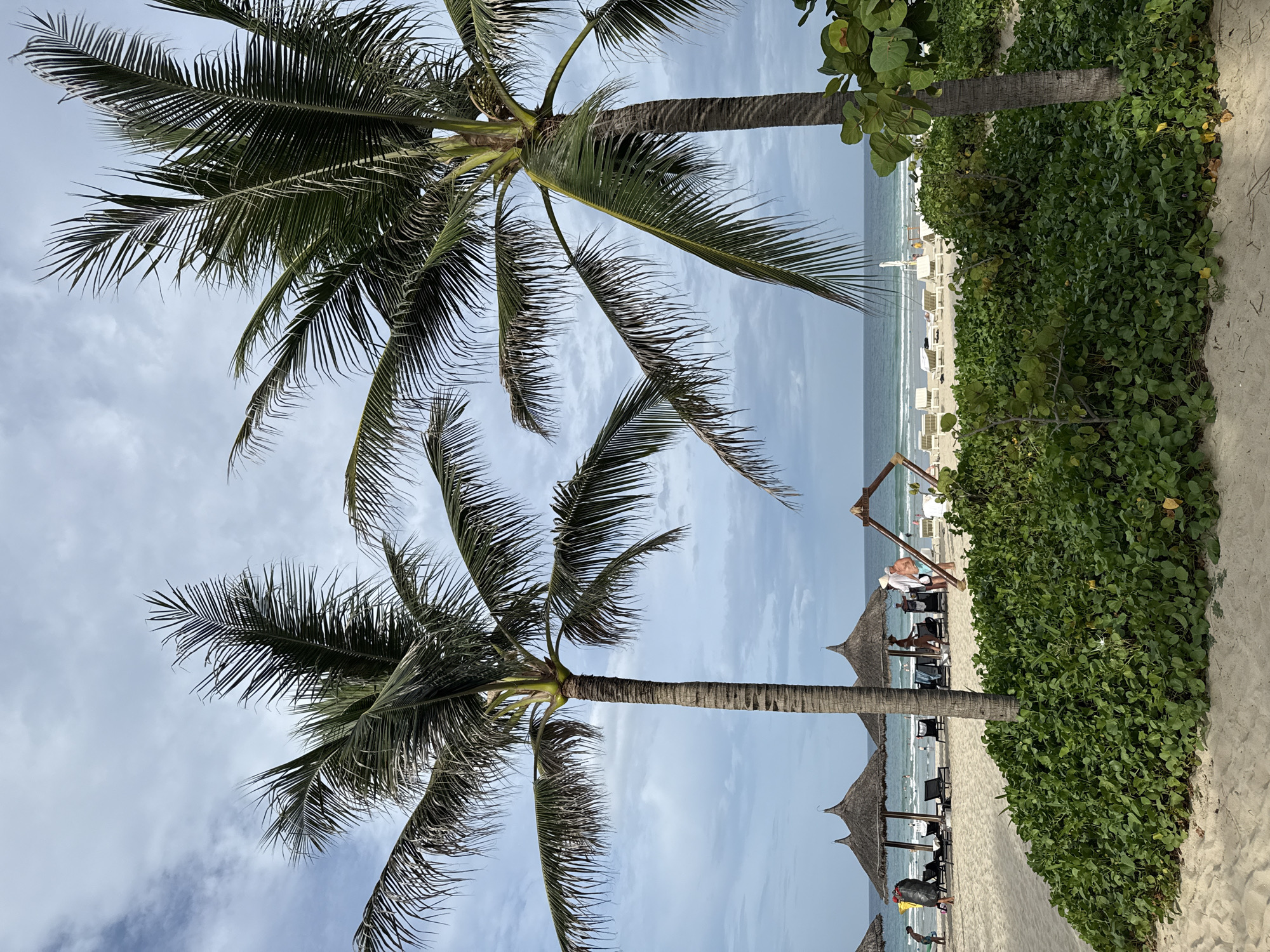 This image depicts a beach scene in Cam Lam, Vietnam, under a cloudy sky. Two prominent palm trees frame the foreground, their fronds reaching towards the sky. In the mid-ground, a sandy beach is dotted with thatched-roof umbrellas and lounge chairs, some occupied by people. A swing set structure is visible near the center of the frame. The ocean stretches out in the background, with gentle waves rolling onto the shore. Lush green ground cover grows in the foreground, partially obscuring the sand. The scene conveys a relaxed atmosphere, typical of a tropical beach resort.