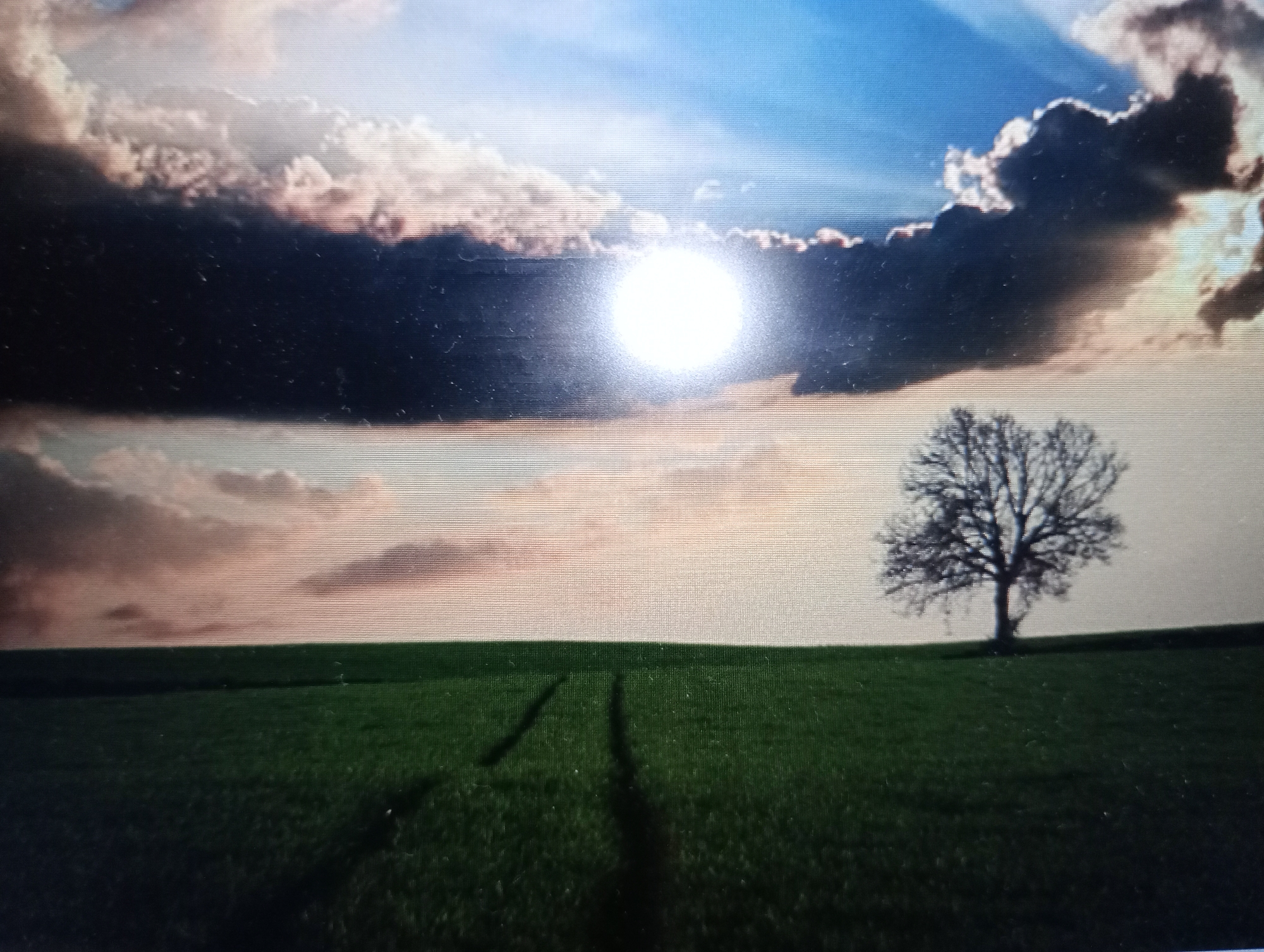 The image depicts a landscape with a bright sun partially obscured by dark clouds in a blue sky. The sun's rays are visible, casting a glow on the scene. In the middle ground, a bare tree stands on a green field. The field shows tire tracks. The horizon is clear, with the sky taking up the upper half of the image and the field the lower half. The overall scene suggests an outdoor, possibly rural environment. There is no indication of Harmanli, Bulgaria in the image.
