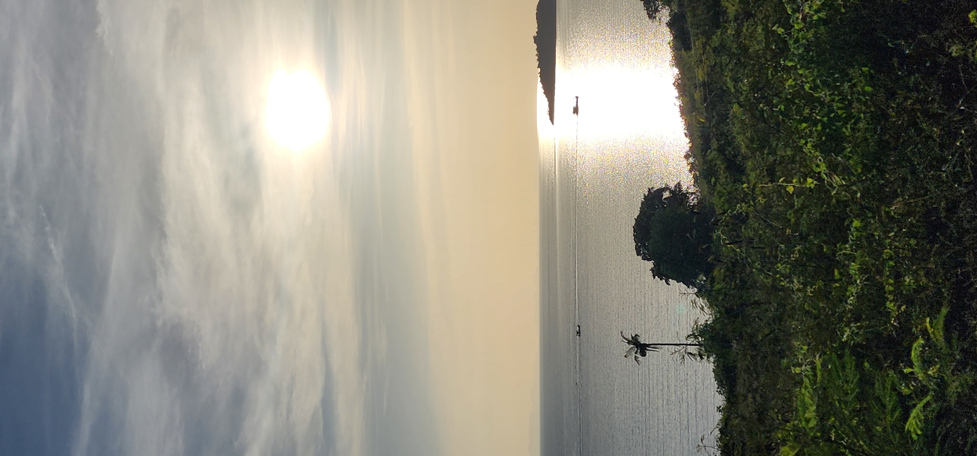 The image shows a coastal landscape at sunset. The sun is low in the sky, casting a bright glare on the water. The sky is partly cloudy, with wispy clouds illuminated by the setting sun. The ocean is calm, with a gentle ripple. A small island or landmass is visible in the distance to the right. In the foreground, there is lush green vegetation, including trees and bushes, on a hillside overlooking the sea. A single palm tree stands prominently in the middle ground on the left. There are two small boats on the water, one closer to the shore and another further out. The overall scene depicts a tranquil natural environment. The location is identified as Ko Samui District, Thailand.