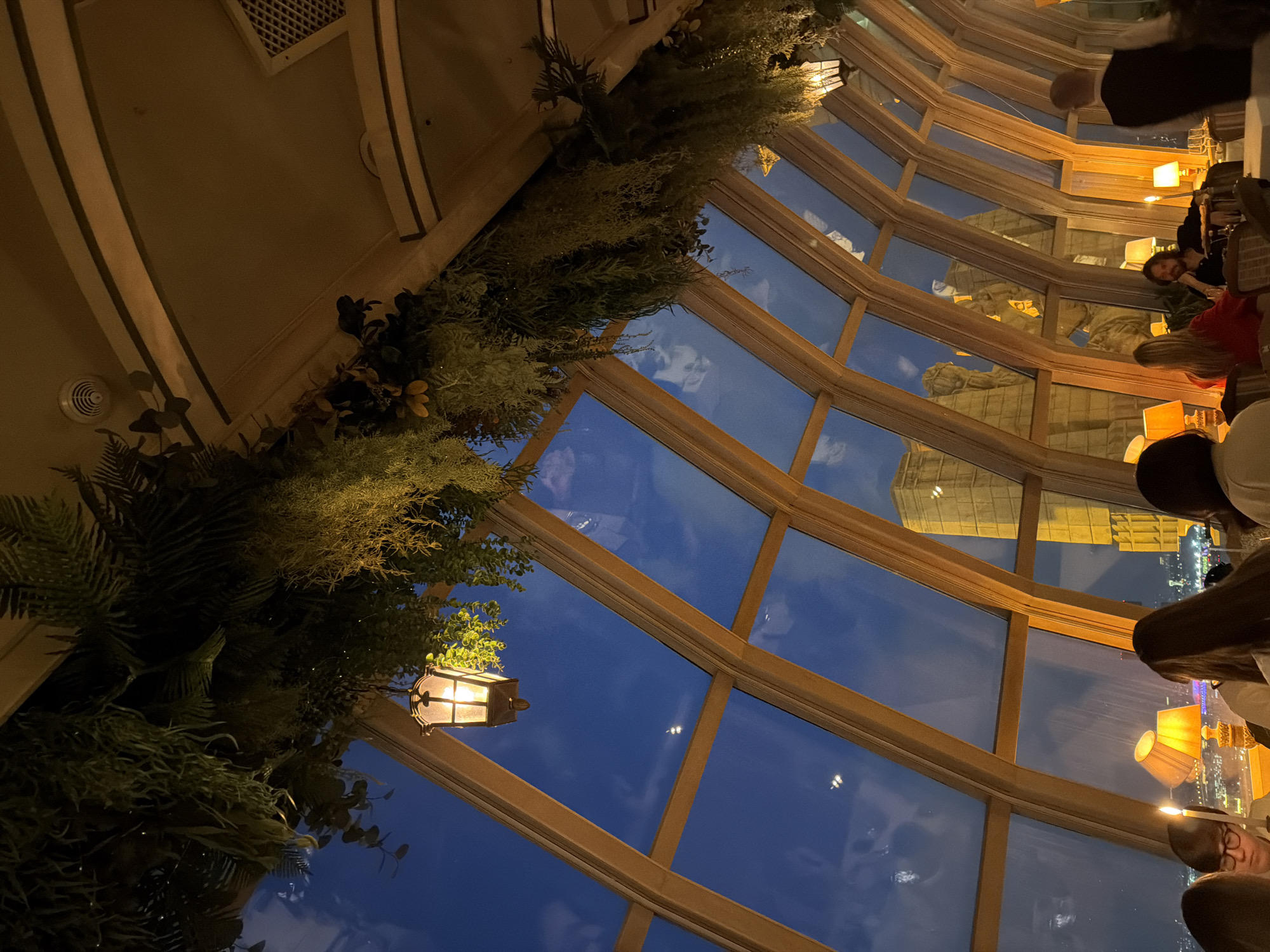 The image captures an interior view of a dining area, likely a restaurant, with a distinctive curved wall of large windows. These windows offer a nighttime view of what appears to be Moscow, Russia, with illuminated buildings visible against a twilight sky. The room is decorated with lush greenery, including ferns and other plant arrangements, adorning the top of the window frames. In the foreground, individuals are seated at tables, appearing to be dining. Soft, warm lighting from table lamps and overhead fixtures creates a cozy atmosphere. The architectural design features a network of wooden beams forming the window frames, adding a structural and decorative element to the scene. The overall impression is of a sophisticated and inviting dining environment with panoramic views of the city.