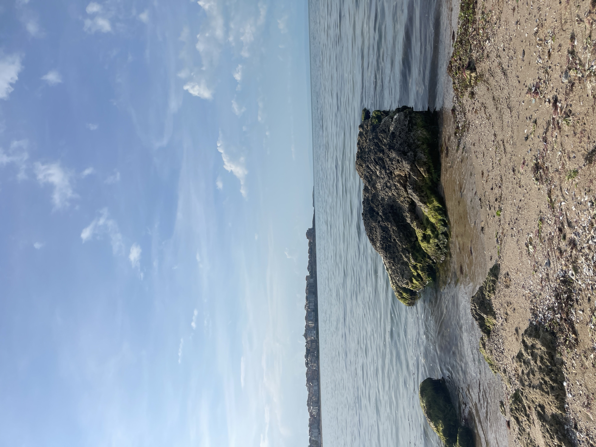 The image depicts a coastal scene in Sozopol, Bulgaria. The sky is blue with scattered white clouds. The sea is calm with gentle ripples. A rocky outcrop covered in patches of green algae extends into the water. Next to the rocks is a sandy beach with shells and other debris. In the distance, a line of buildings is visible, characteristic of the urban development along the Sozopol coastline. The perspective of the photo makes it appear as though the sky, sea, and beach are divided into distinct sections. There are no people visible in the scene.