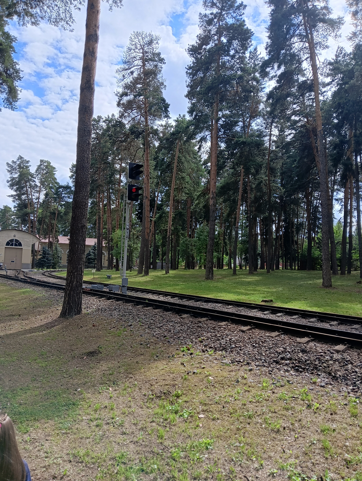 The image depicts a railway line in Kratovo, Russia, with a prominent set of railroad tracks running diagonally across the frame from the lower left to the upper right. Adjacent to the tracks is a traffic signal displaying a red light. In the background, a building with a rounded window and arched entrance is visible, set amongst a dense forest of tall pine trees. The ground is covered in grass and gravel, with the sky above a mix of blue with white clouds. The scene appears to be an outdoor environment with a natural, wooded setting.