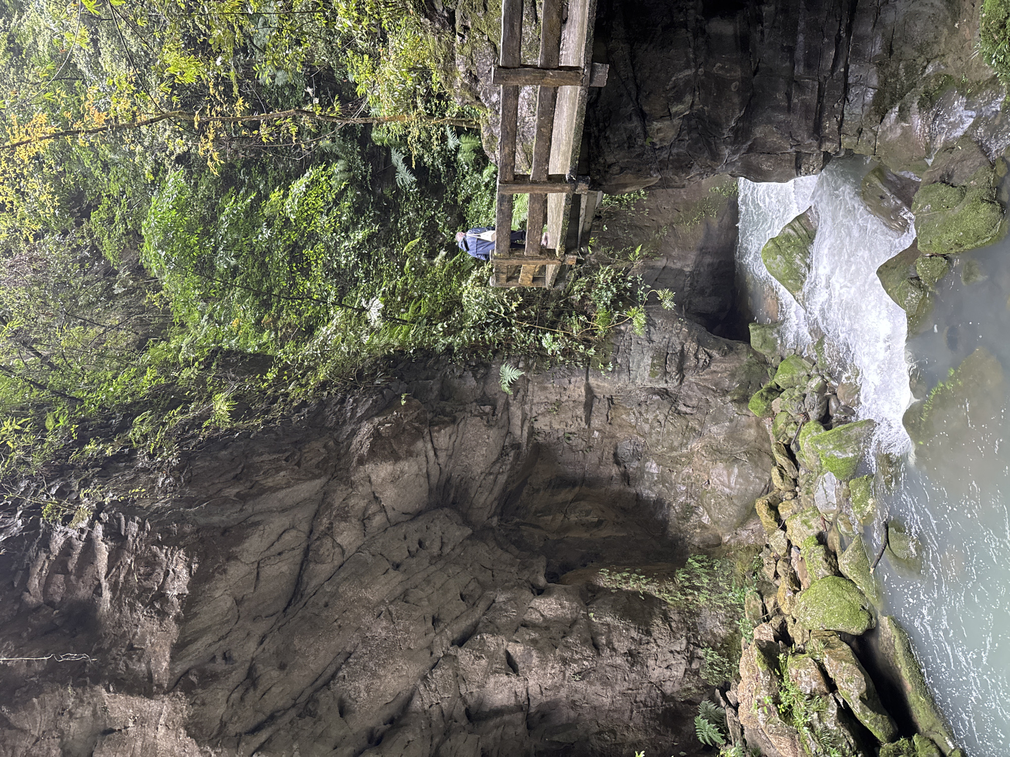 The image depicts a deep, rocky gorge in Wulong District, China. The camera is oriented to capture the verticality of the landscape. Lush green vegetation clings to the steep walls of the gorge, contrasting with the gray, textured rock formations. A wooden platform or bridge spans part of the gorge, with a single figure standing on it, appearing to observe the scene. Below, a waterfall cascades into a pool of water. Rocks covered with moss are seen near the water's edge. The lighting is somewhat subdued, possibly due to the depth of the gorge or the overcast weather conditions.