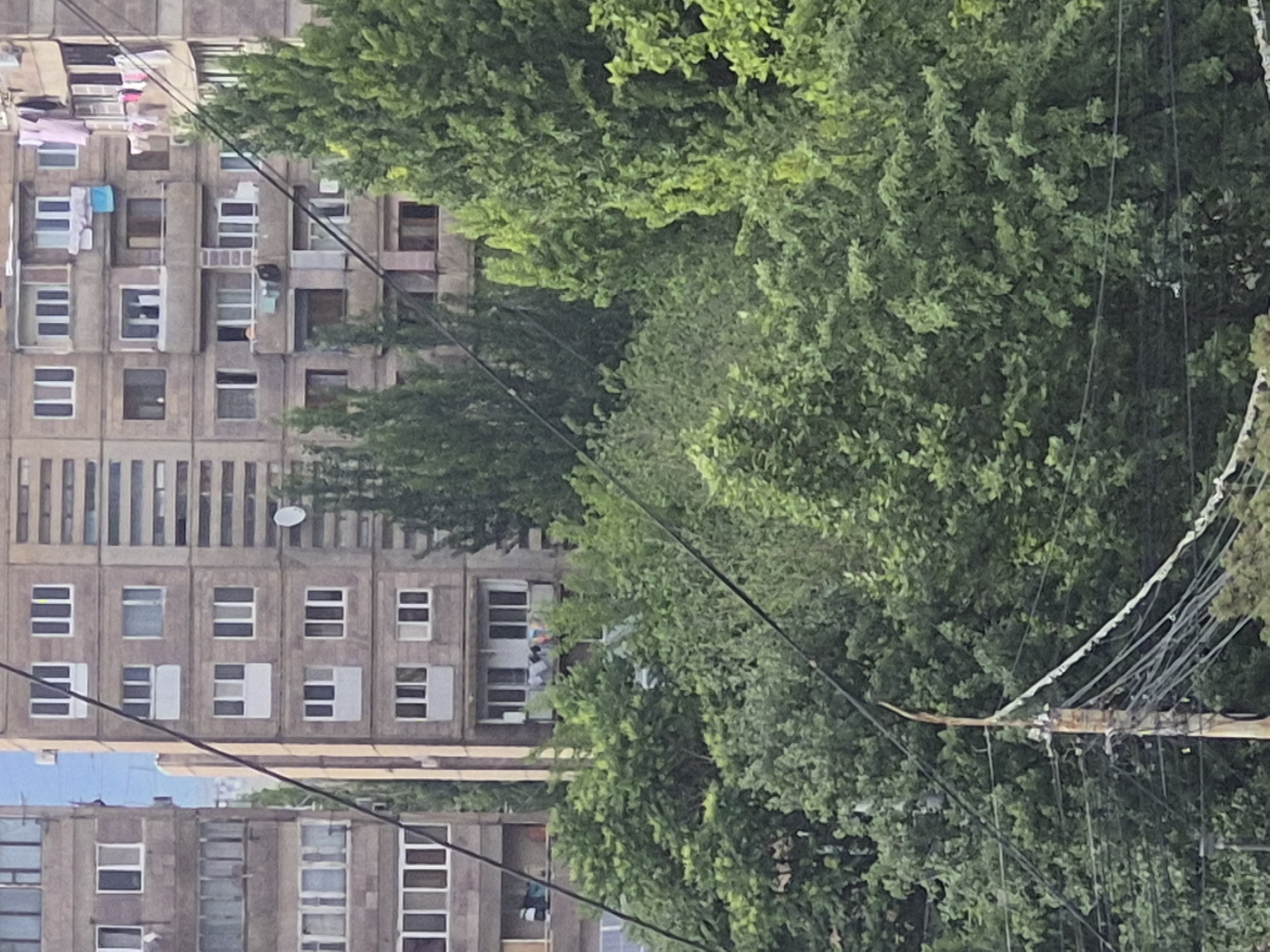 The original image is a vertically oriented photograph, rotated 90 degrees clockwise, depicting a dense urban residential scene. The primary subjects are large, multi-story apartment buildings constructed from light brown or grey concrete, characterized by numerous recessed windows and balconies. These buildings appear weathered, suggesting age.
In the foreground and midground, a significant amount of lush green foliage from trees partially obscures the view of the buildings, adding a natural element to the urban setting. Across the lower and middle sections of the scene, a network of overhead utility wires is prominently displayed, clustered around a partially visible utility pole on the right.
Evidence of daily life is visible: various items of laundry, including clothes and towels in white, blue, and pink, are hanging on lines from balconies and out of windows on the apartment buildings. A small, white satellite dish is also mounted on one of the upper sections of a building.
The scene is illuminated by natural light, indicating it is daytime, and a patch of light blue sky is visible in the lower left portion of the image (when oriented correctly), suggesting clear weather. The architectural style of the buildings, the visible utility infrastructure, and the practice of hanging laundry outside are consistent with residential areas in cities like Yerevan, Armenia. No discernible text is visible.