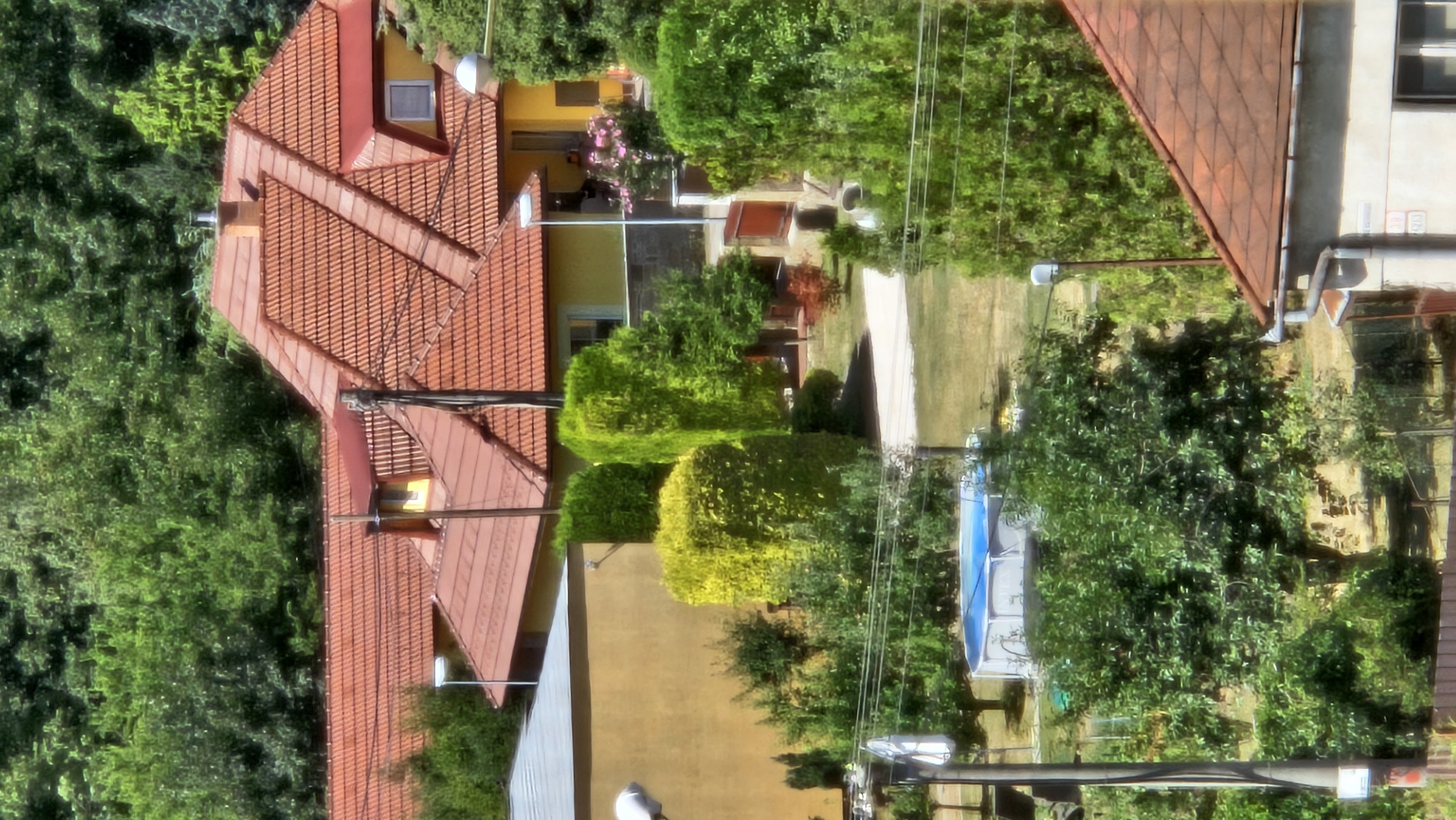 This is a high-angle, full-shot photograph capturing a residential area with multiple houses and lush greenery. The foreground features a large, mature tree on the left, and to its right, the roof of a light-colored house with a red tiled roof. A blue, circular above-ground swimming pool is visible in the middle ground, surrounded by grass. Behind the pool, a light yellow house with a red tiled roof is prominent, featuring several windows and a chimney. In the background, dense green trees form a thick canopy, suggesting a suburban or rural setting. The sky is not visible. The overall scene conveys a sense of a peaceful summer day in a residential area.