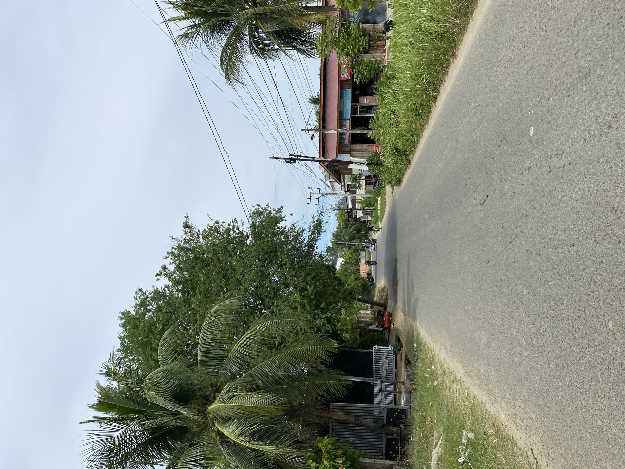 The image captures a street scene in Lhokseumawe, Indonesia, under an overcast sky. A paved road stretches into the distance, flanked by lush green vegetation and trees on both sides. On the left, a coconut palm tree stands prominently near a gray metal fence and a small structure with a white railing. Further down the road on the left, a few motorcycles are parked. On the right side of the road, a building with a red corrugated metal roof, resembling a shop or small business, is visible. It has a sign with blue text. Various utility poles with a dense network of electrical wires are present throughout the scene. Several people are seen riding motorcycles and a bicycle on the road, suggesting active local transportation. The environment appears to be a semi-rural or suburban area within the city, characterized by a mix of natural elements and man-made structures.