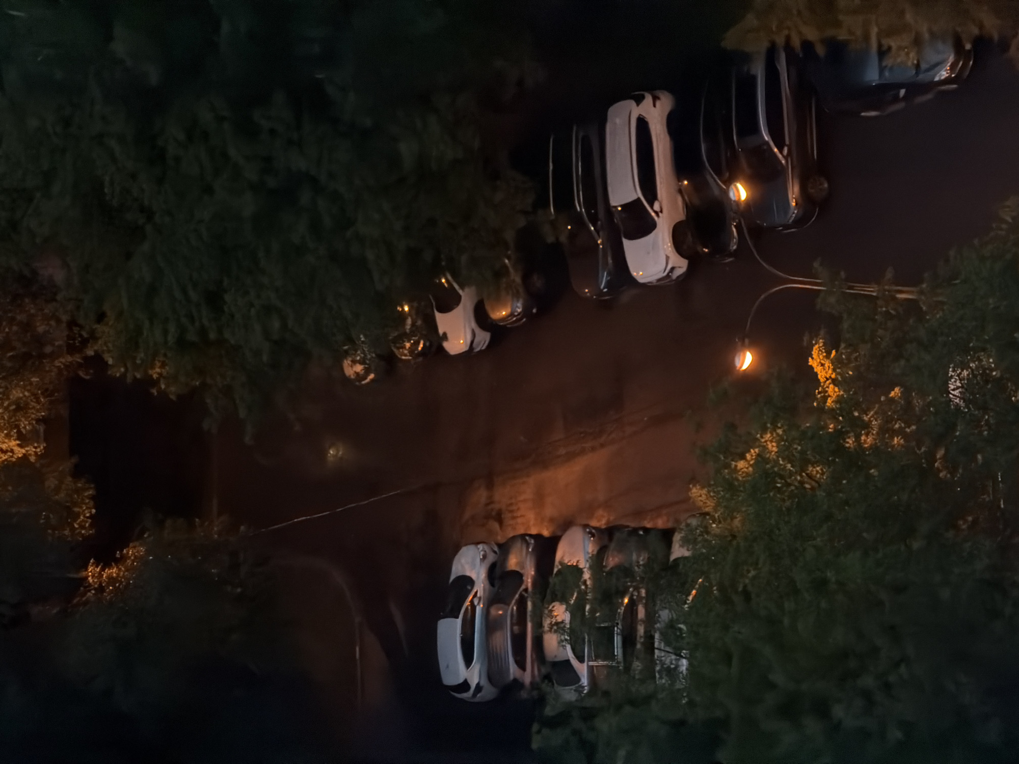 The image depicts an outdoor scene, likely in a residential area of Khimki, Russia, at night or dusk. A row of parked cars is visible on an asphalt surface, with trees and foliage surrounding the area.
On the left side of the image, several cars are parked perpendicular to a slight incline. The topmost car is a white SUV, followed by a darker colored car underneath it, partially obscured by shadows and greenery. Below that, another white car and then a dark car are visible, also partially hidden by trees. The parking arrangement on this side appears somewhat irregular, with cars parked close together.
On the right side, the cars are parked in a more organized fashion, parallel to a road or pathway. The cars visible include a white SUV, a dark SUV, and a darker, smaller car at the bottom right. A streetlamp with two illuminated orange lights is positioned in the middle of the frame, casting a warm glow on the surrounding area and reflecting on the wet asphalt. The lighting suggests it might have recently rained or the surface is damp.
The environment is characterized by dense green trees and foliage, which are dark and cast deep shadows due to the low light conditions. The overall impression is a quiet, somewhat dimly lit urban setting. There are no people visible in the image.