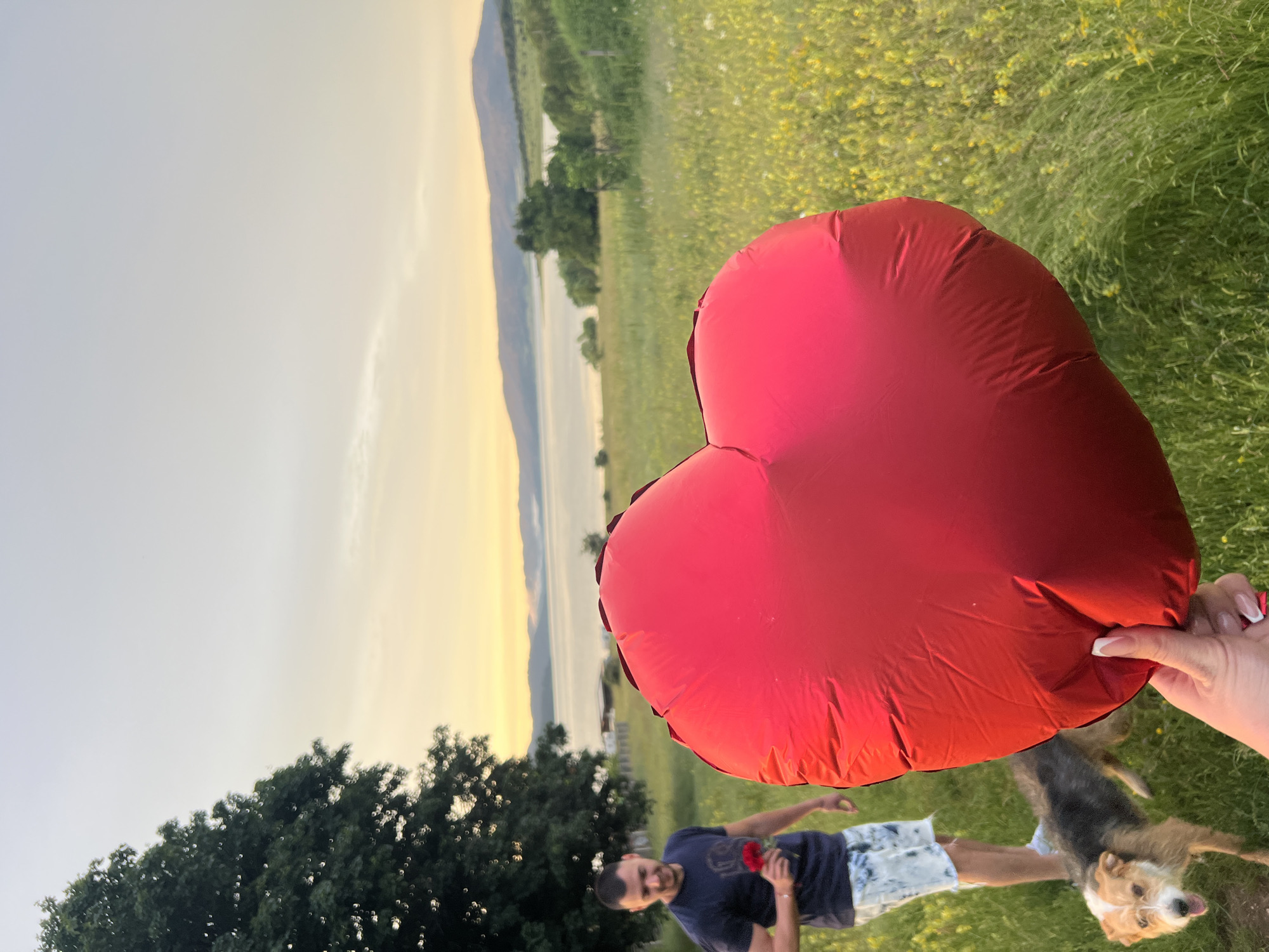 A person holds a large red heart-shaped balloon in the foreground, obscuring much of the background. Behind the balloon, a man in a dark t-shirt and patterned shorts is visible, holding a single red flower. A small dog with light brown fur is also present, looking towards the camera with its tongue out. The scene is set in a grassy field with scattered yellow flowers, suggesting a natural, outdoor environment. In the distance, a body of water, possibly a lake, is bordered by mountains. The sky is a pale yellow, indicating either sunrise or sunset. The overall mood appears cheerful and relaxed, possibly capturing a moment during a romantic outing or a celebration. The location is identified as Batak, Bulgaria. No text is visible in the image.