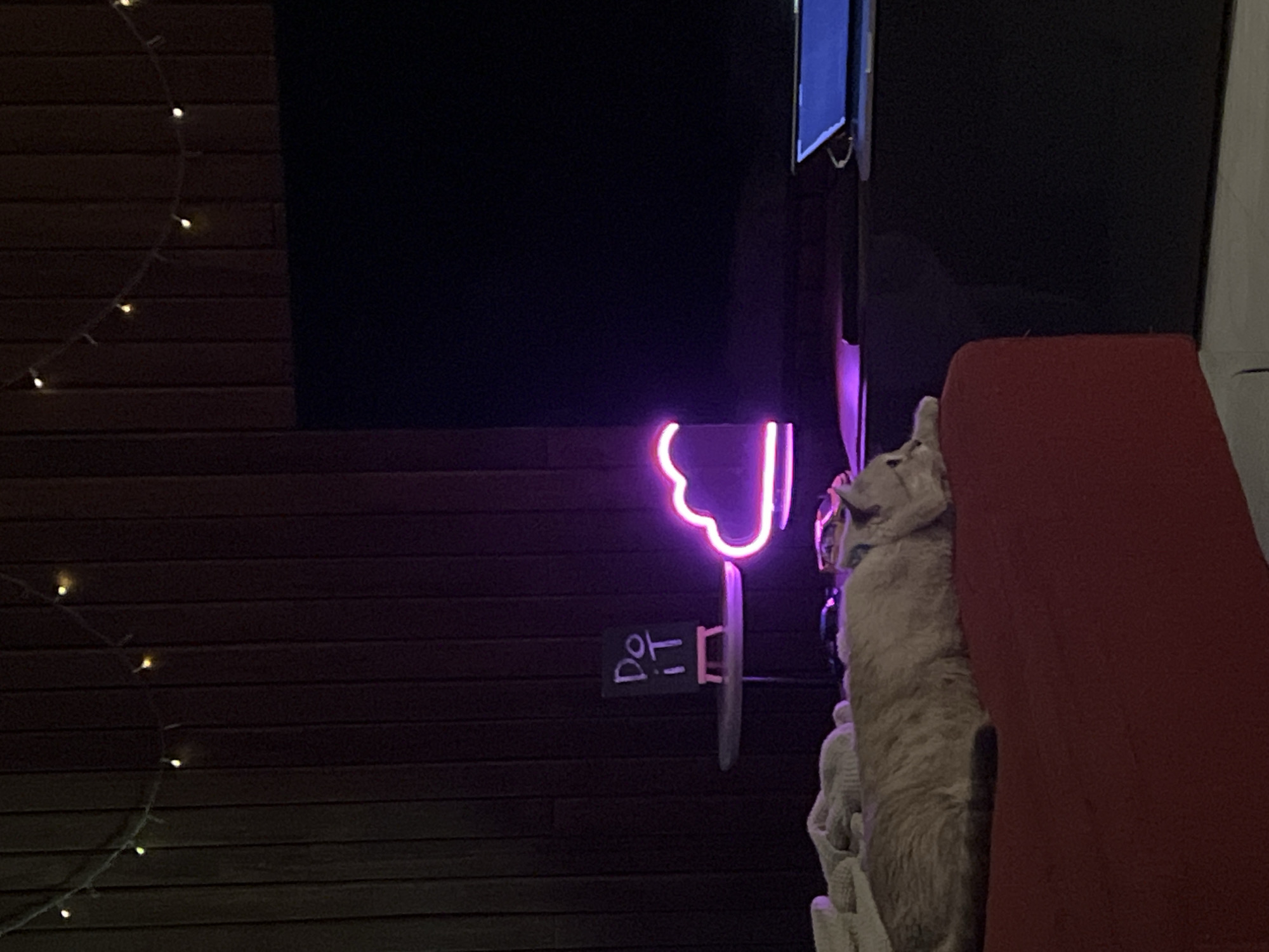 In a dimly lit interior setting, located in the city of Unknown, Unknown, a light-colored cat lies stretched on a red upholstered surface in the foreground. Behind the cat, on a dark circular stand, a small black chalkboard on a wooden easel displays the words "Do IT" in white text. To the right, a vibrant pink-purple neon cloud sign glows intensely on a dark surface, casting a hue on its surroundings. A large, dark, rectangular television screen is visible in the background, to the right of the neon sign. Further to the right, an open laptop with a bright blue screen rests on a lower dark surface. The background wall consists of vertical dark wooden paneling, adorned with a string of small, warm-toned lights across its upper section.