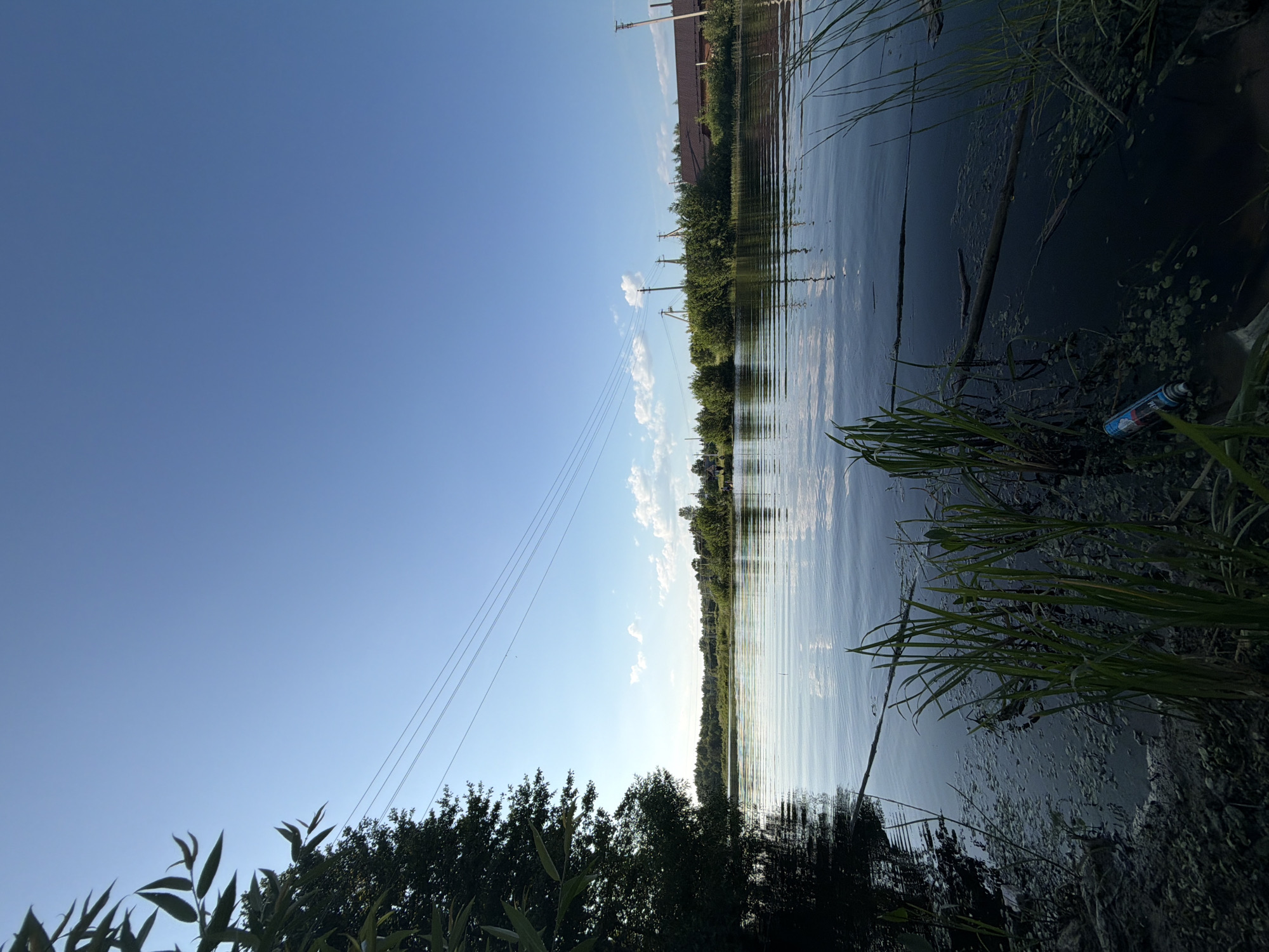 The image depicts a serene, wide-angle view of a tranquil body of water, likely a river or lake, under a clear, pale blue sky with scattered white clouds. The scene is set in an outdoor environment, possibly near the edge of a rural settlement or village, suggested by the presence of a long, dark brown building with a pitched roof and a few sparse trees and utility poles visible on the distant shore. In the foreground, the water's surface is calm, reflecting the sky and the surrounding greenery with gentle ripples. Dark green reeds and aquatic plants emerge from the murky water along the left bank, where a small portion of the muddy shore is also visible. A lone, discarded blue and red spray can rests partially submerged in the water amongst the reeds. On the left side of the frame, a dark, leafy tree branches out, its leaves silhouetted against the bright sky. Power lines are strung across the upper portion of the sky, spanning from left to right. The overall impression is one of a peaceful, natural landscape tinged with a subtle element of human presence and potential environmental impact.