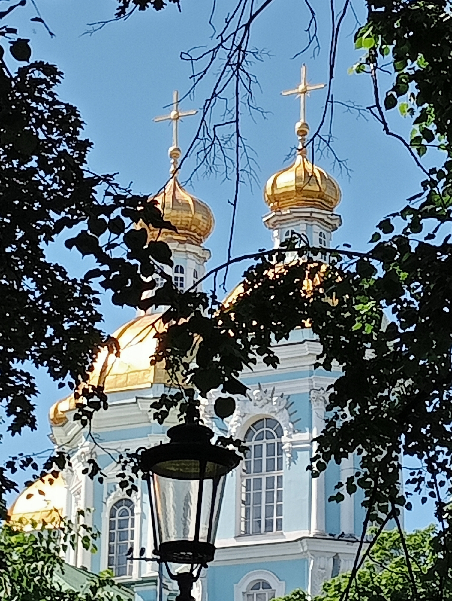This media file shows a close-up view of the domes and upper facade of a blue and white church, possibly an Orthodox cathedral, with golden domes topped with crosses. The church appears to be situated in a park or garden, as dark green foliage from trees frames the shot, obscuring parts of the building and sky. A black, ornate street lamp is prominently positioned in the foreground, adding to the urban park setting. The sky is a clear, bright blue, suggesting a sunny day. The lighting indicates it is daytime, likely mid-morning or afternoon, with sunlight glinting off the golden domes. The architectural style suggests a location like Saint Petersburg, Russia, known for its historical churches with similar features. No people are visible, and no text is present in the image. The overall impression is one of serene architectural beauty viewed through a natural, leafy frame.