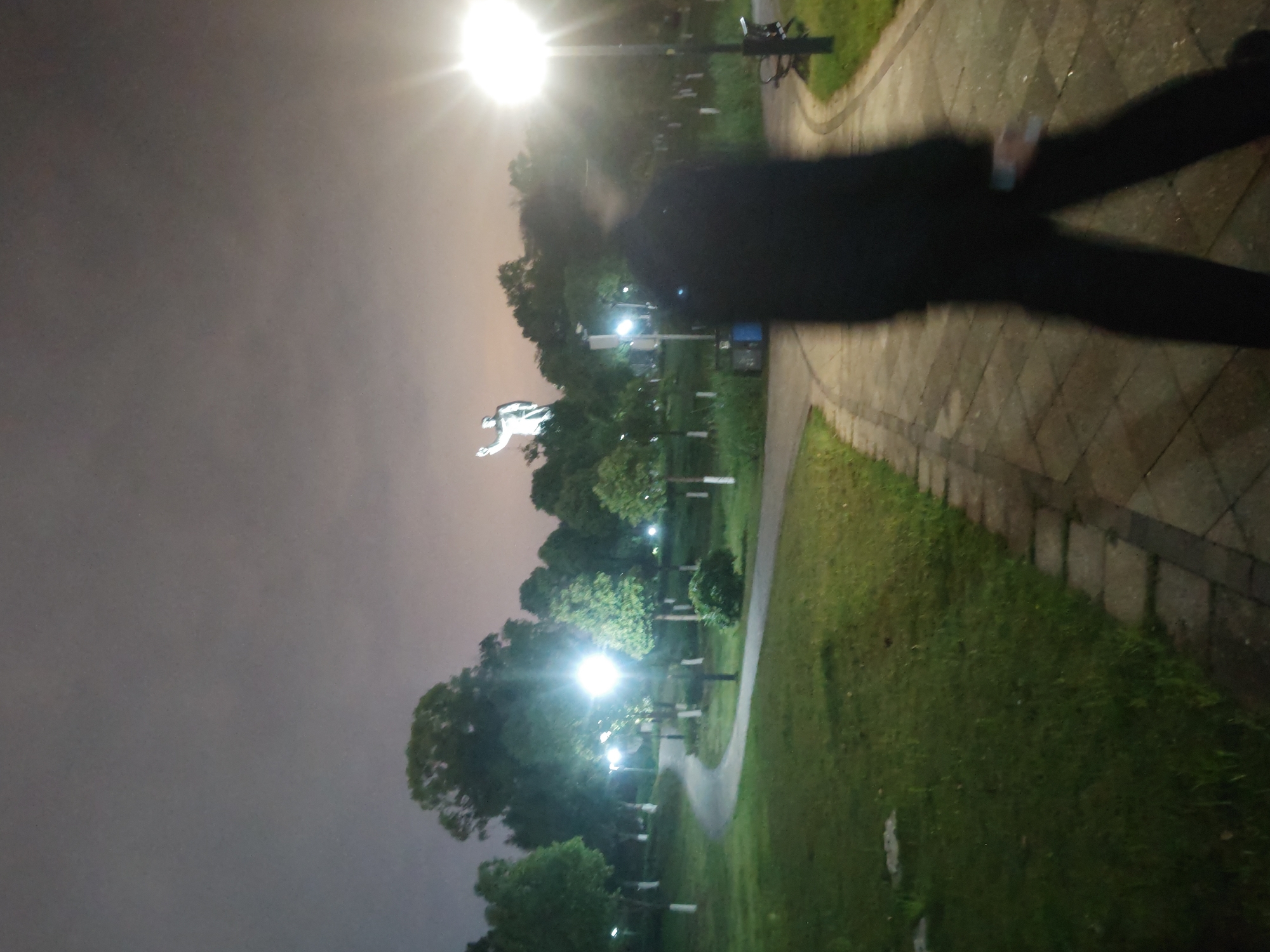 The image depicts a night scene in what appears to be a park located in the Chongqing High-tech Zone, China. A pedestrian walkway, paved with rectangular stones, curves through the frame. To the left of the walkway is a green lawn. Street lamps illuminate the area, casting a glow on the trees and foliage. A large statue is visible in the distance. An indiscernible shadow of a person crosses the scene on the right.