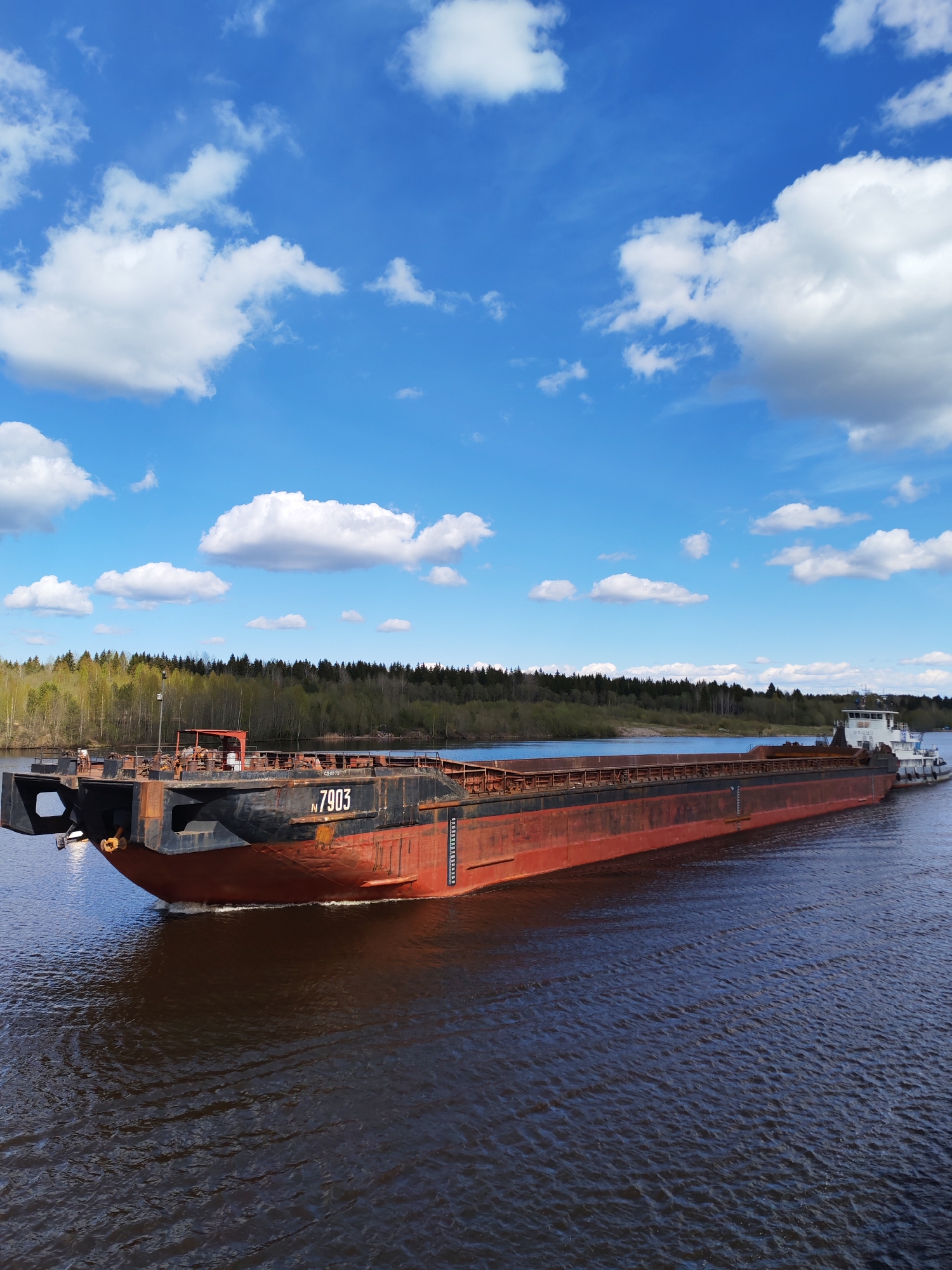 The image shows a barge with the number "N 7903" being towed by a smaller tugboat on a river. The water is dark, and the barge has a red-brown hull with a black upper section. The sky is blue with scattered white clouds. A forest lines the riverbank in the background. The photograph was taken in Шиндалово, Russia.