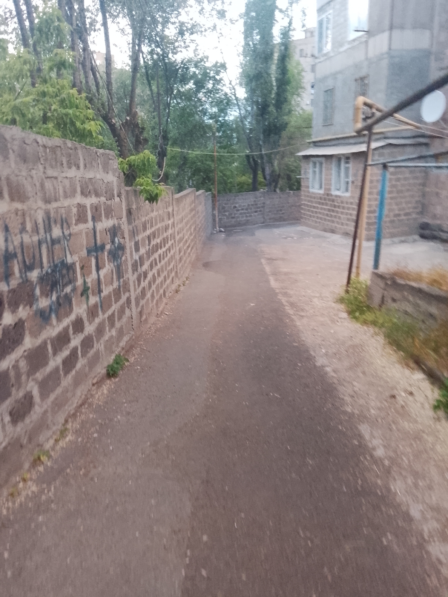 The image shows an outdoor scene, likely in a residential area. A brick wall with some graffiti runs along the left side of the frame, bordering a paved pathway. Beyond the wall, trees and vegetation are visible. To the right of the pathway, there are brick buildings and a fence. The lighting suggests it might be dusk or an overcast day. There are no people or animals visible in the image.