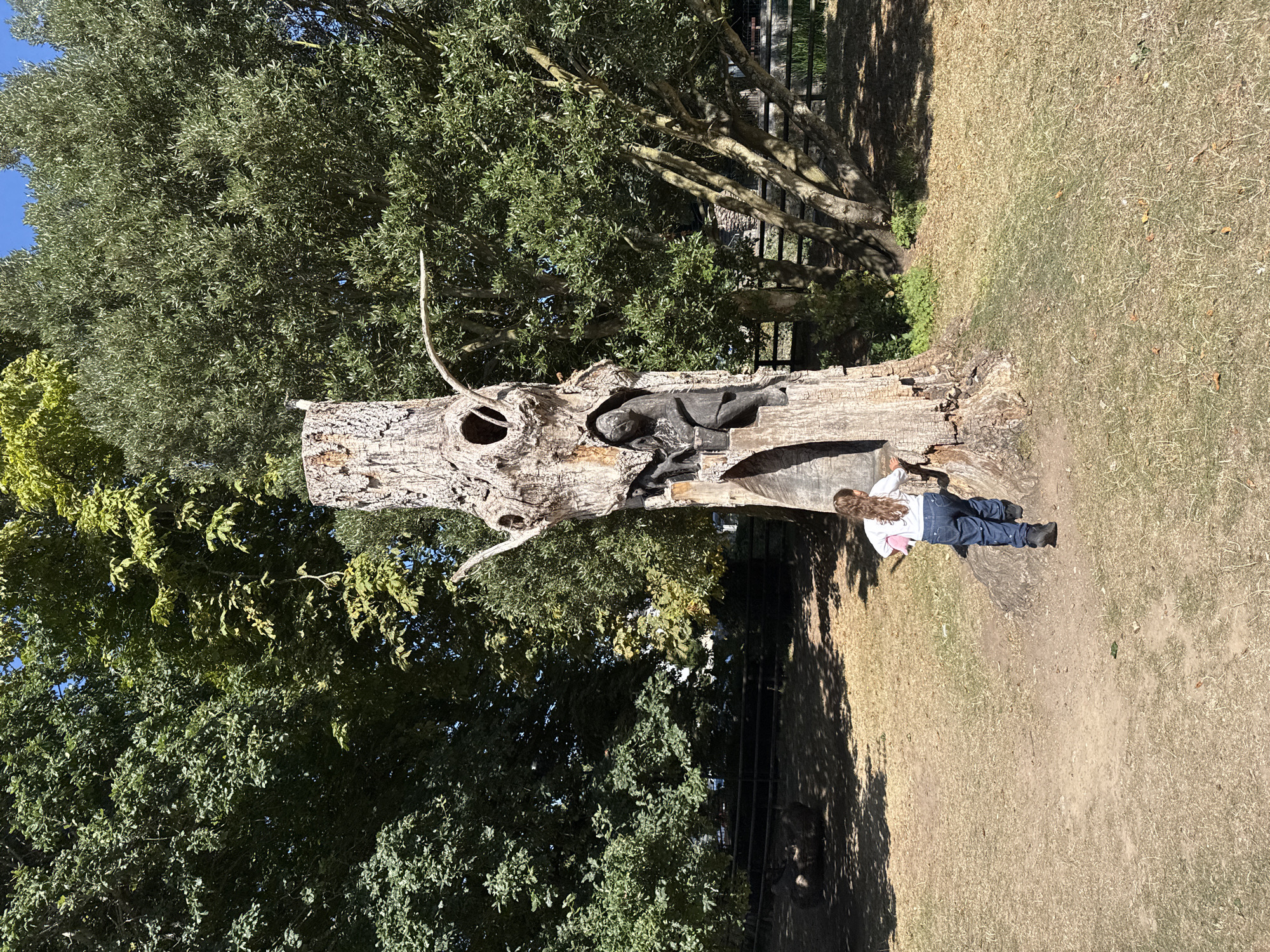 In Cahir, Ireland, a young girl with long, light brown hair and wearing a white shirt and blue jeans runs towards a large, carved tree stump. The tree stump has a dark, carved figure of a person within a hollowed-out section. The scene is set in an outdoor area with dry, light brown grass and scattered patches of dirt. Behind the tree stump, a cluster of lush green trees with dense foliage creates a backdrop. A dark wooden fence runs horizontally across the middle ground, separating the grassy area from a patch of darker ground with shadows. Sunlight streams down, creating dappled shade on the ground.